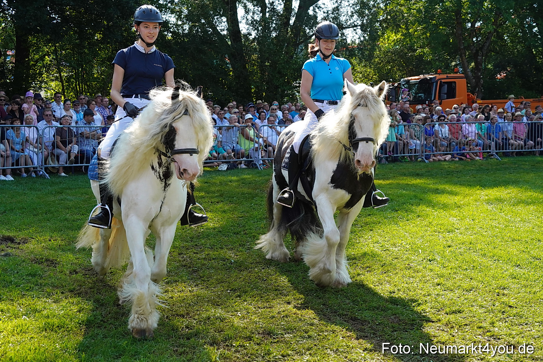 Pferde und Fohlenschau JURA Volksfest 2023 0109