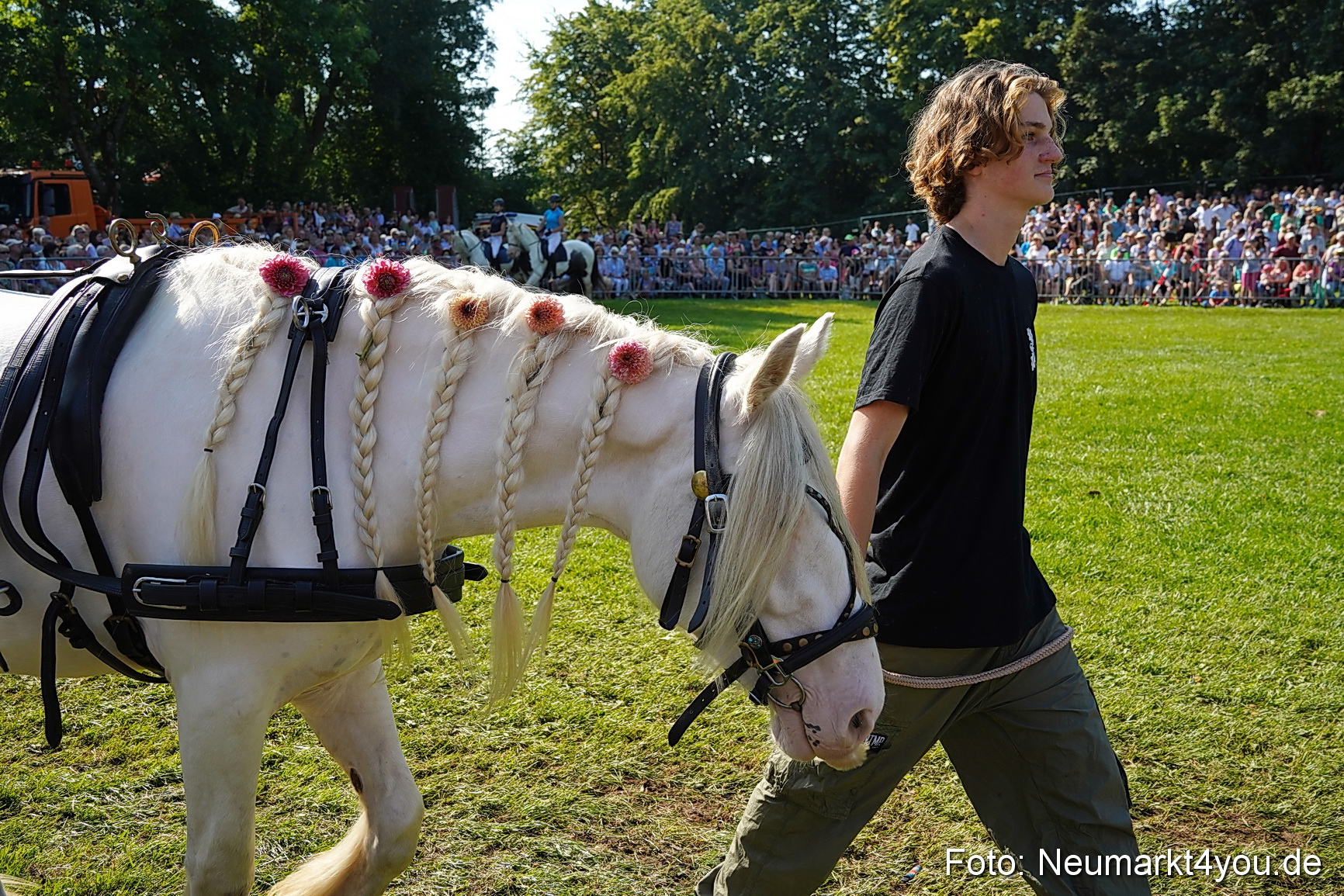 Pferde und Fohlenschau JURA Volksfest 2023 0110