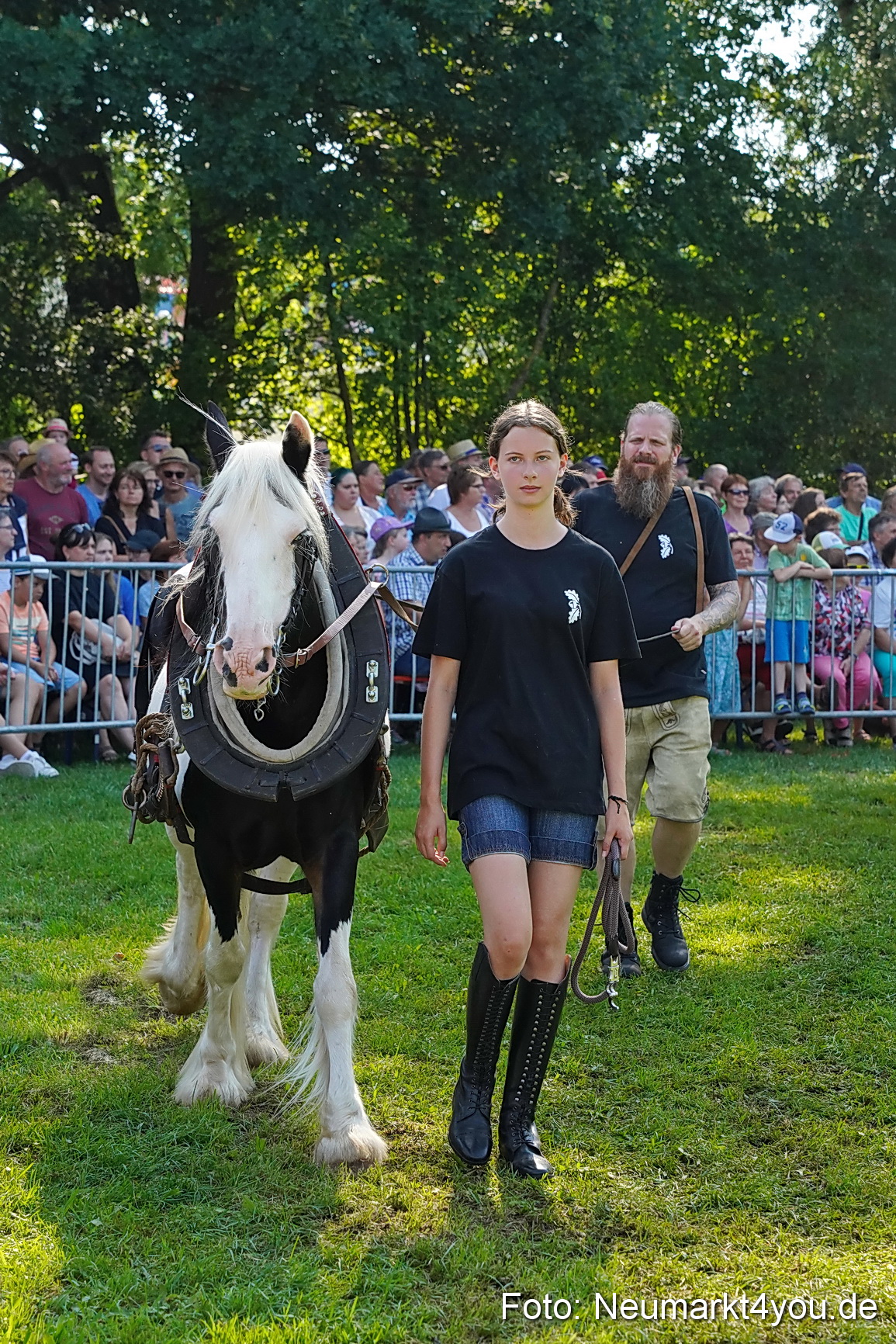 Pferde und Fohlenschau JURA Volksfest 2023 0112