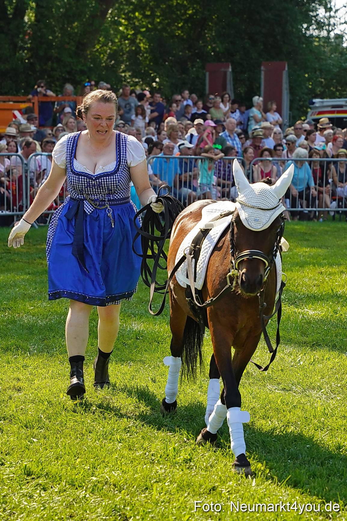 Pferde und Fohlenschau JURA Volksfest 2023 0114