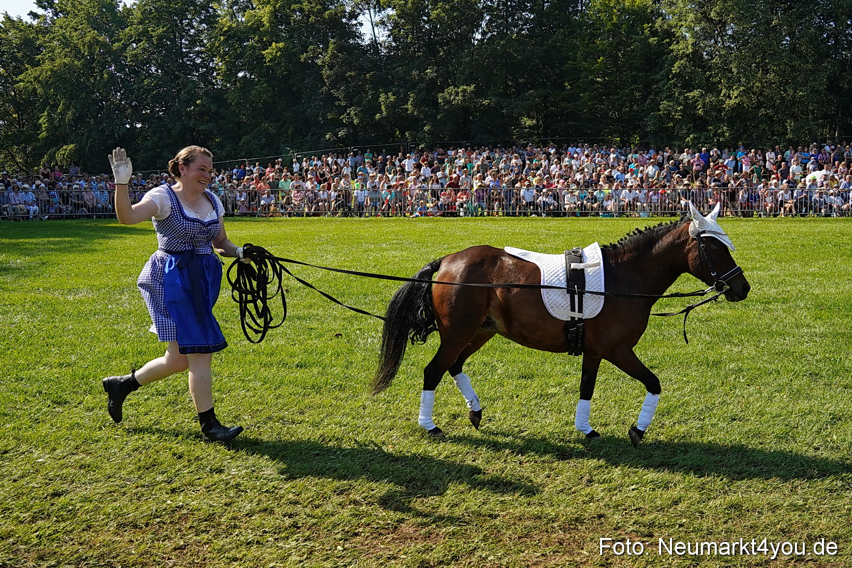 Pferde und Fohlenschau JURA Volksfest 2023 0115