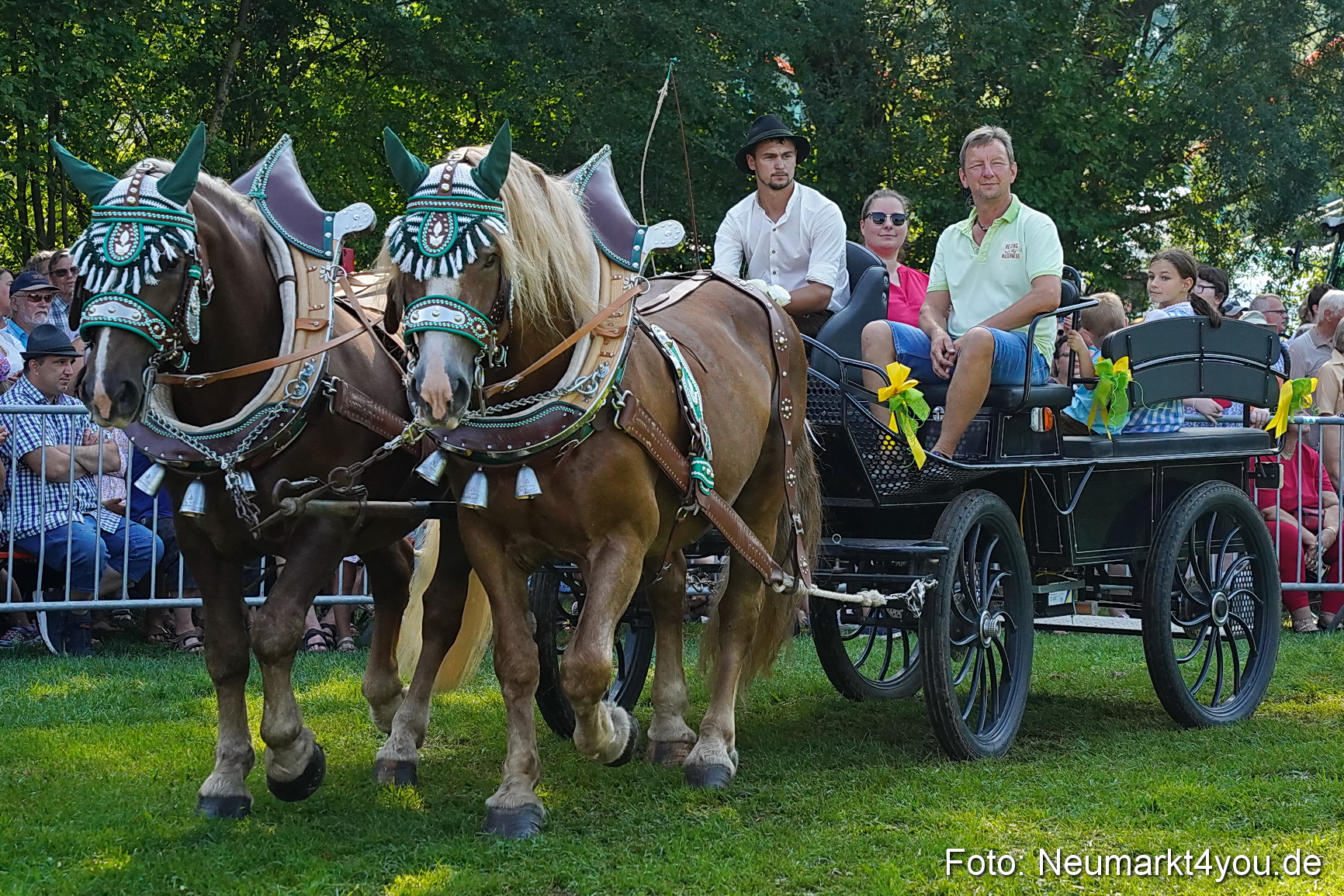 Pferde und Fohlenschau JURA Volksfest 2023 0116