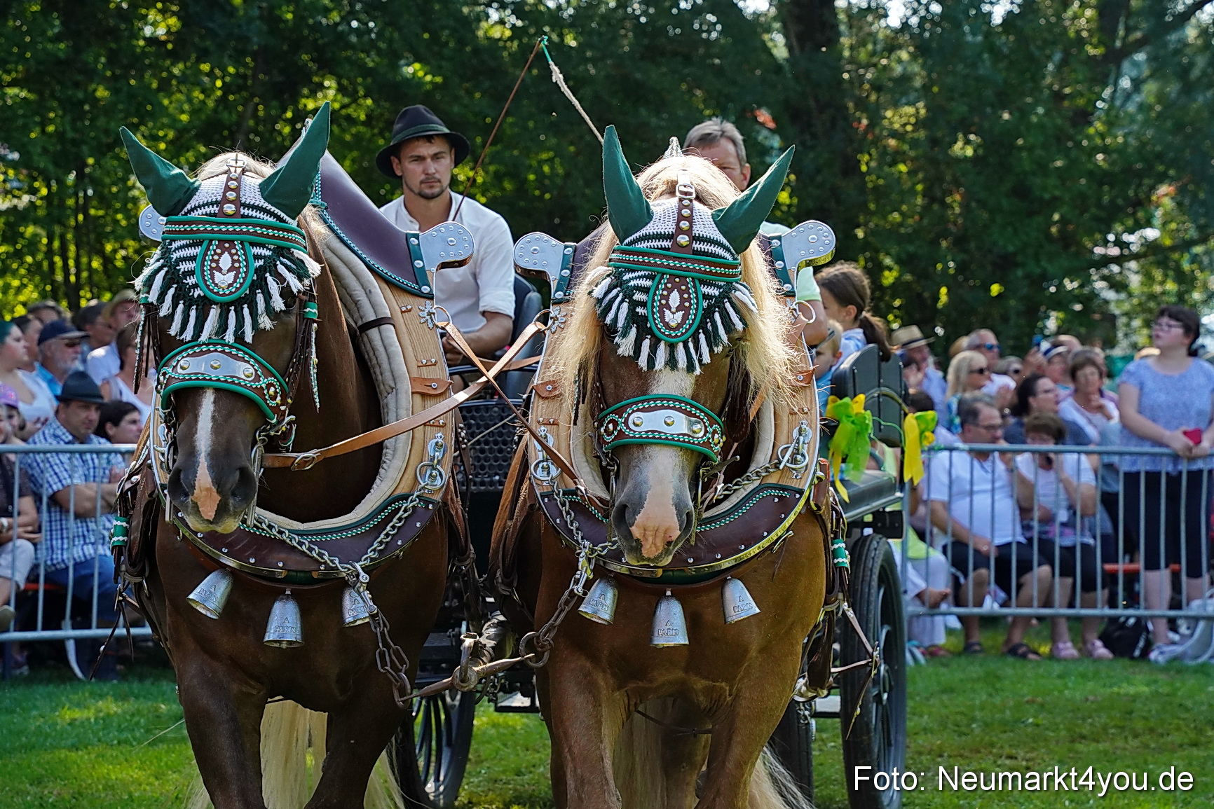 Pferde und Fohlenschau JURA Volksfest 2023 0117