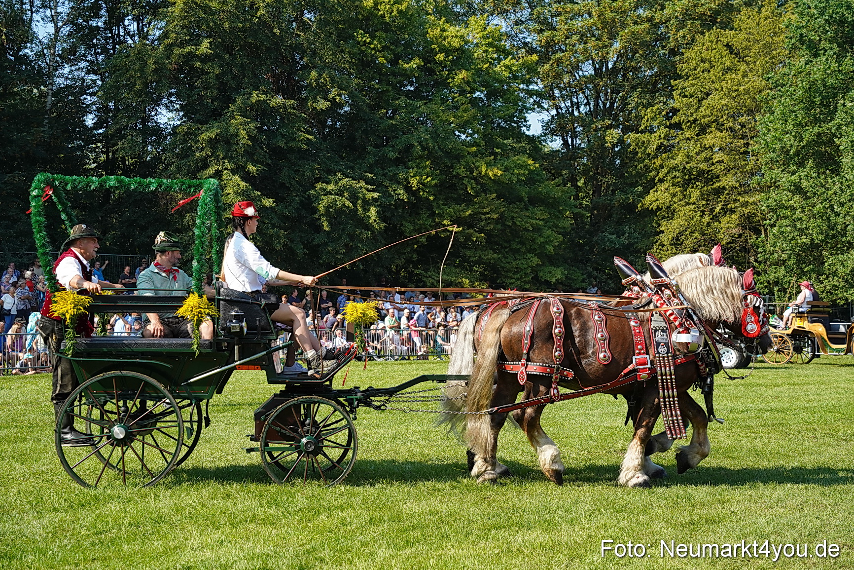 Pferde und Fohlenschau JURA Volksfest 2023 0130