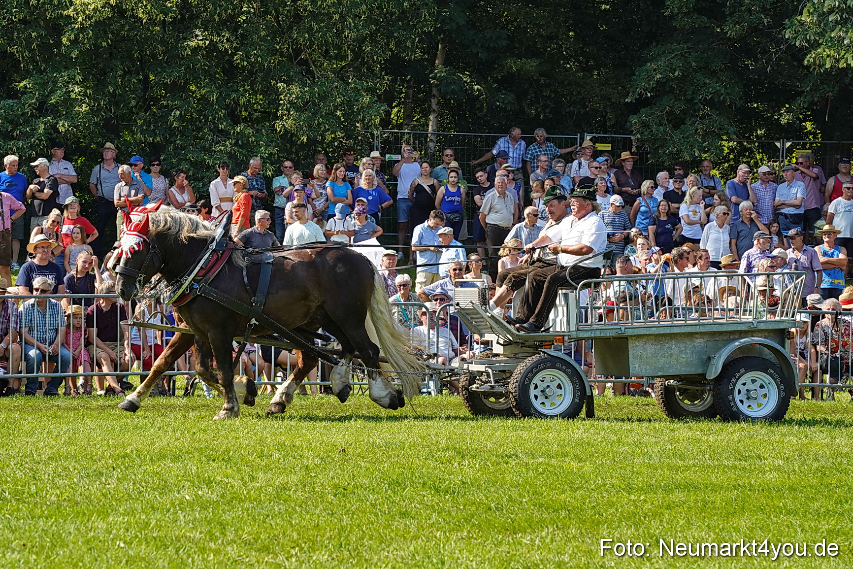 Pferde und Fohlenschau JURA Volksfest 2023 0132