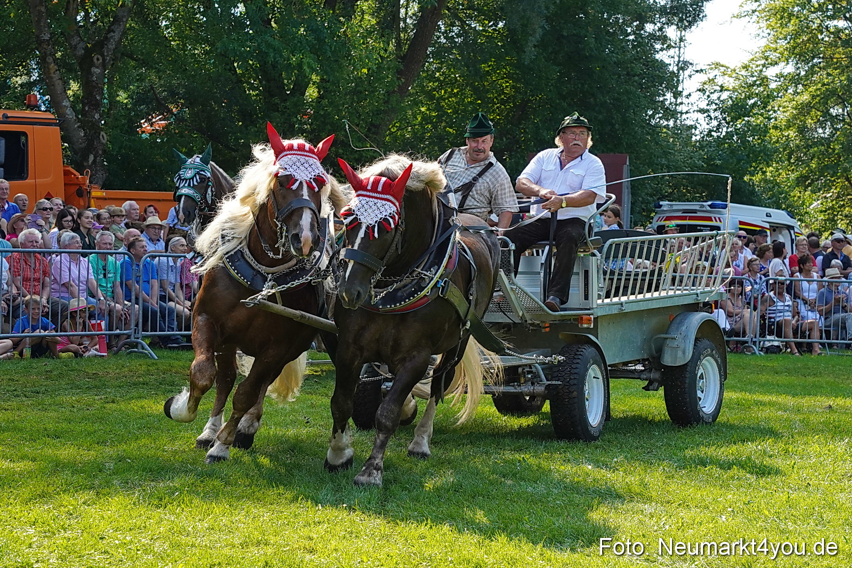 Pferde und Fohlenschau JURA Volksfest 2023 0133
