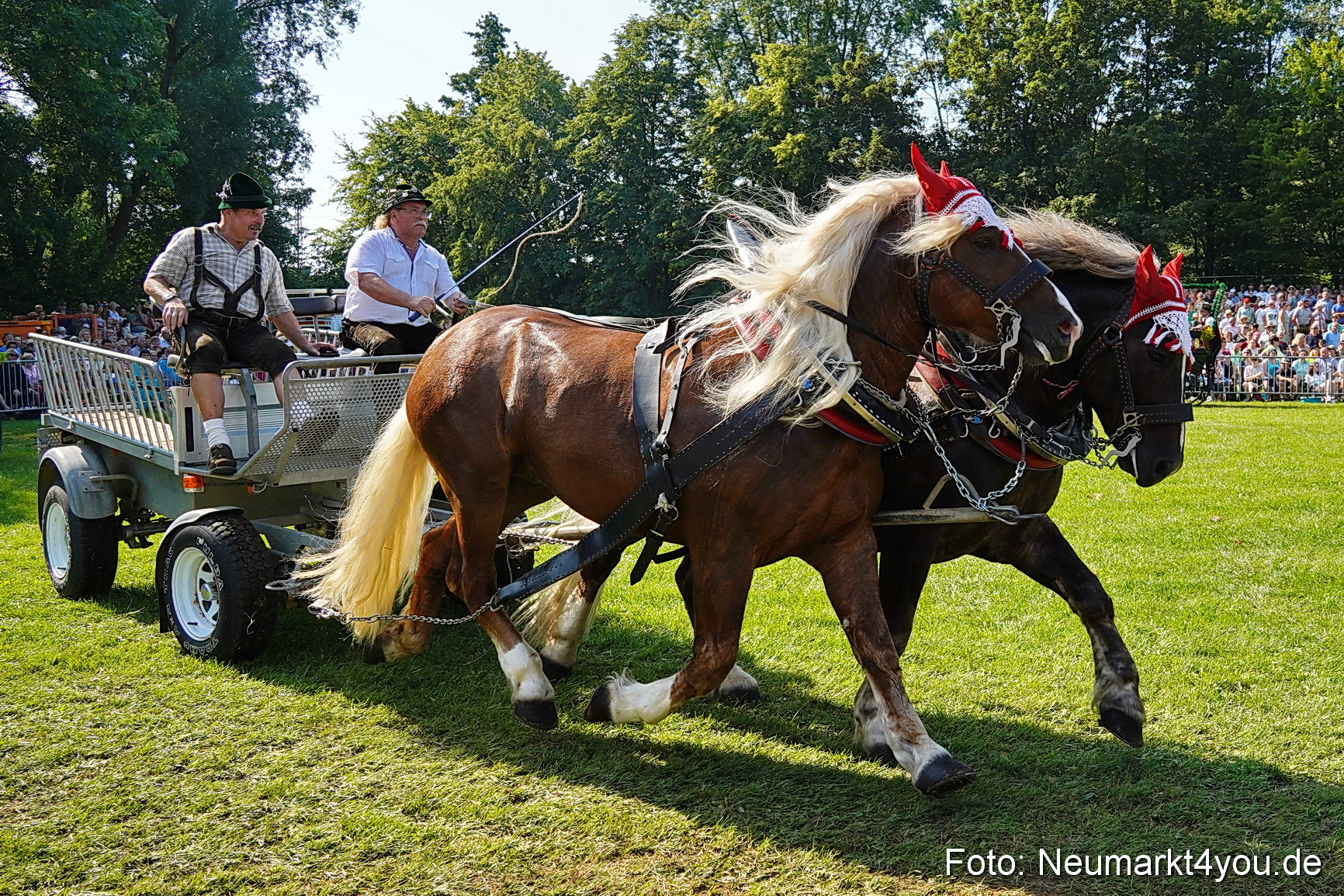 Pferde und Fohlenschau JURA Volksfest 2023 0134