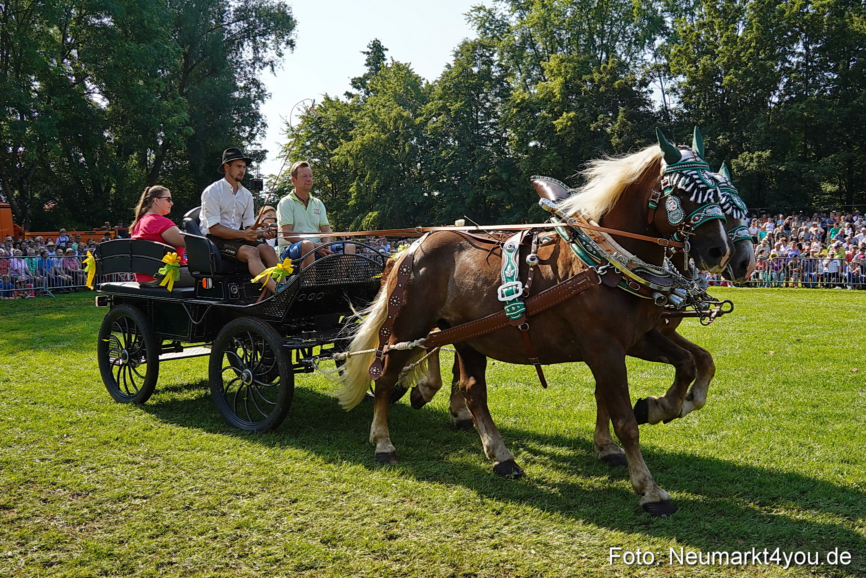 Pferde und Fohlenschau JURA Volksfest 2023 0135