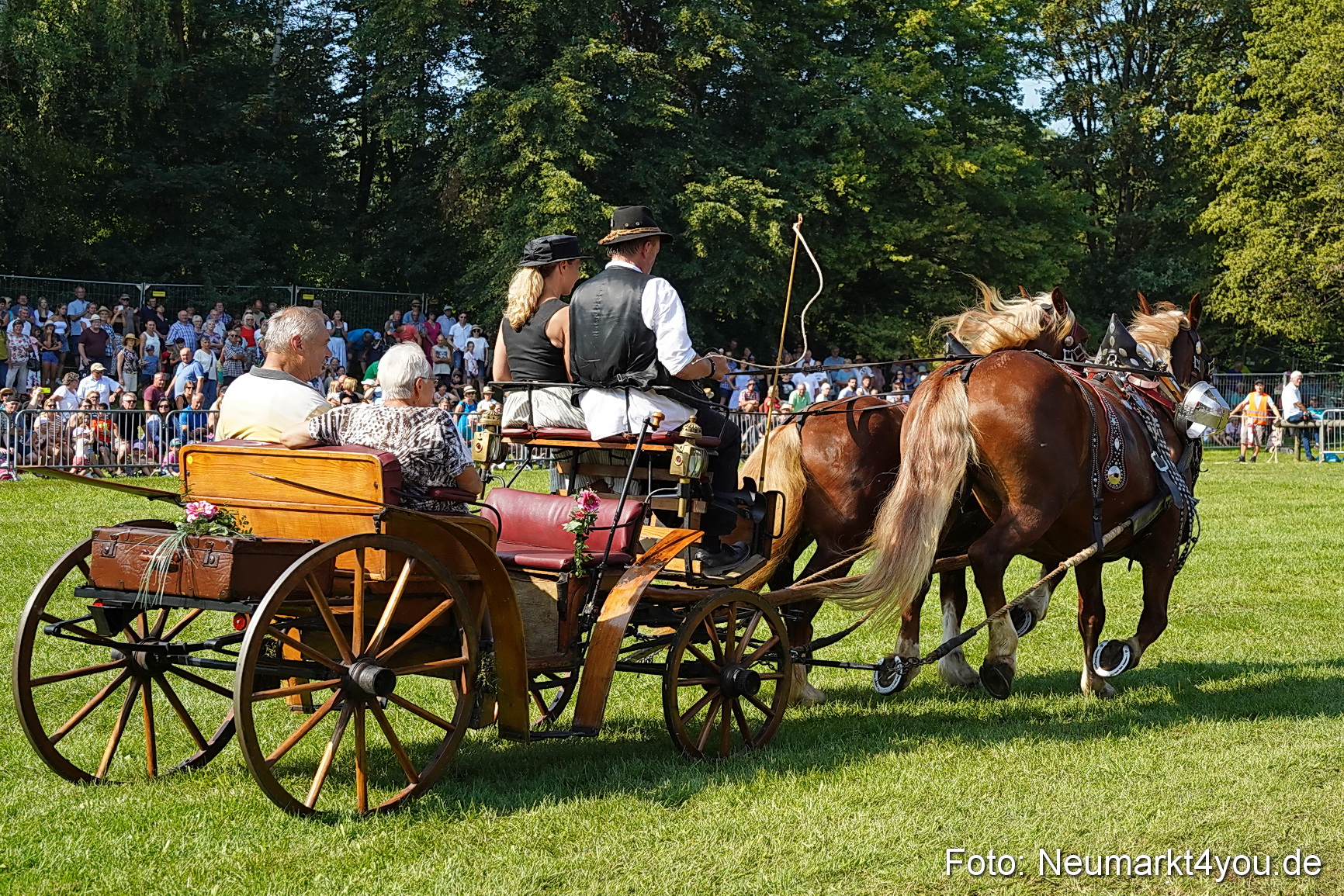 Pferde und Fohlenschau JURA Volksfest 2023 0136