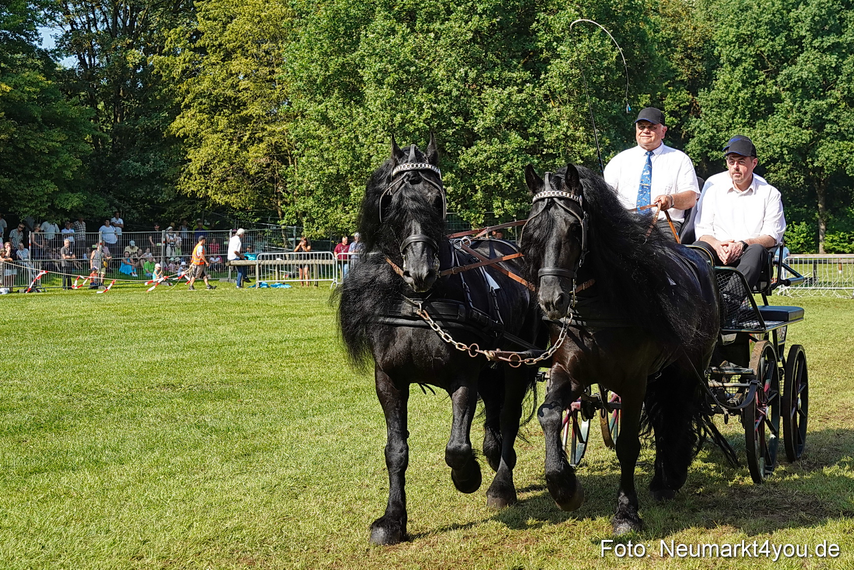 Pferde und Fohlenschau JURA Volksfest 2023 0137