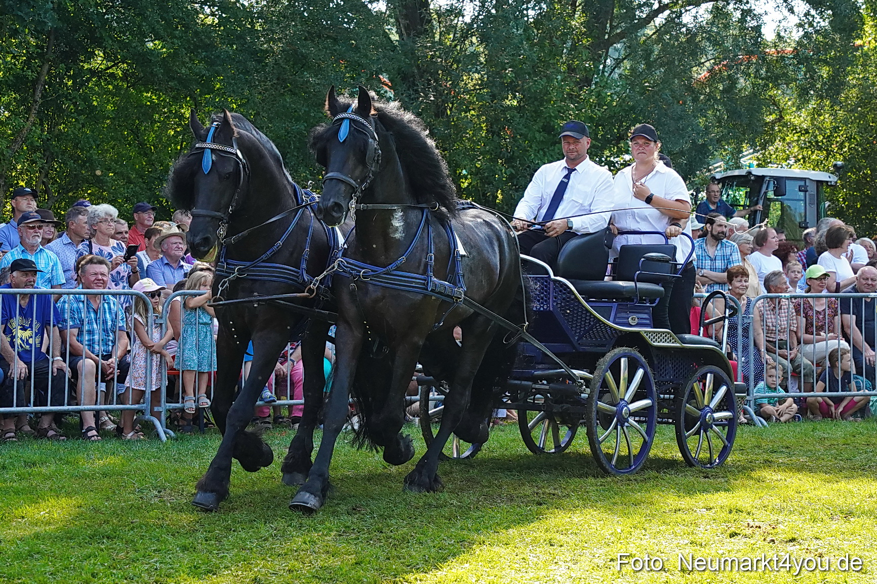 Pferde und Fohlenschau JURA Volksfest 2023 0138