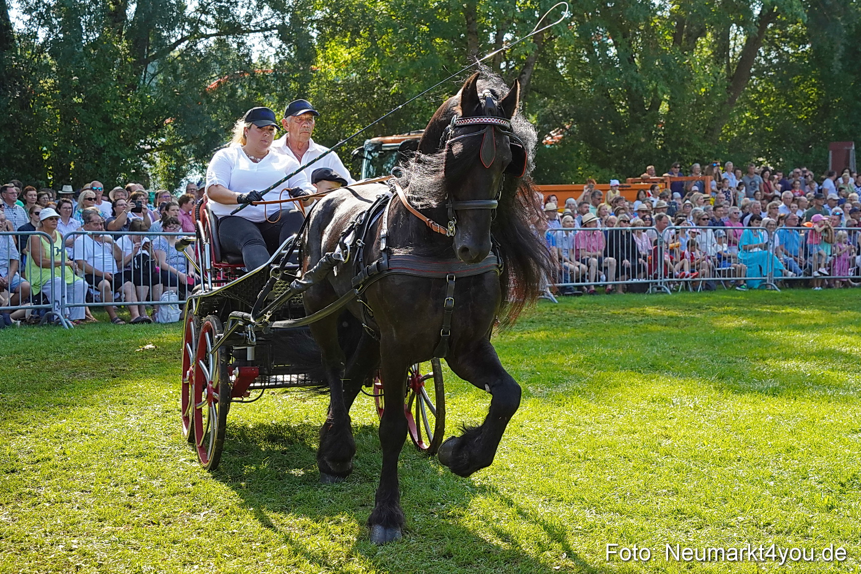 Pferde und Fohlenschau JURA Volksfest 2023 0140
