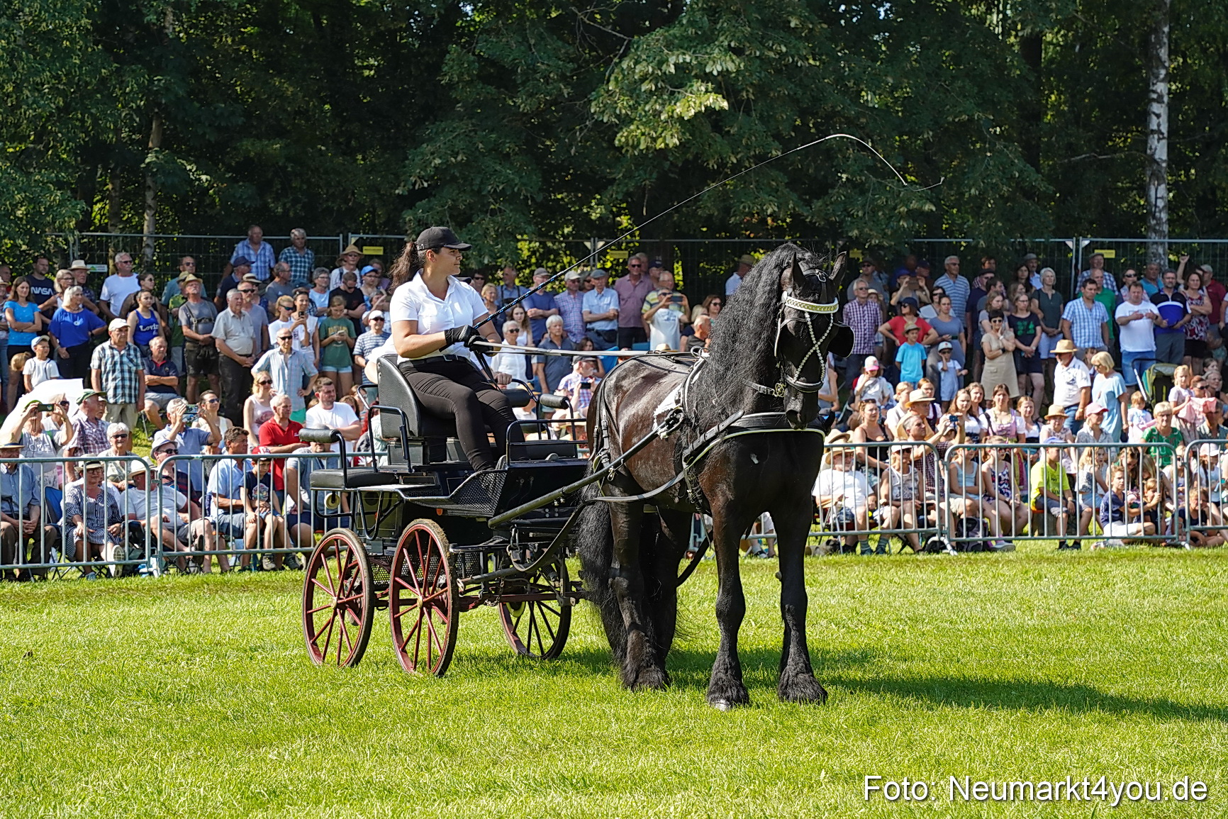 Pferde und Fohlenschau JURA Volksfest 2023 0143