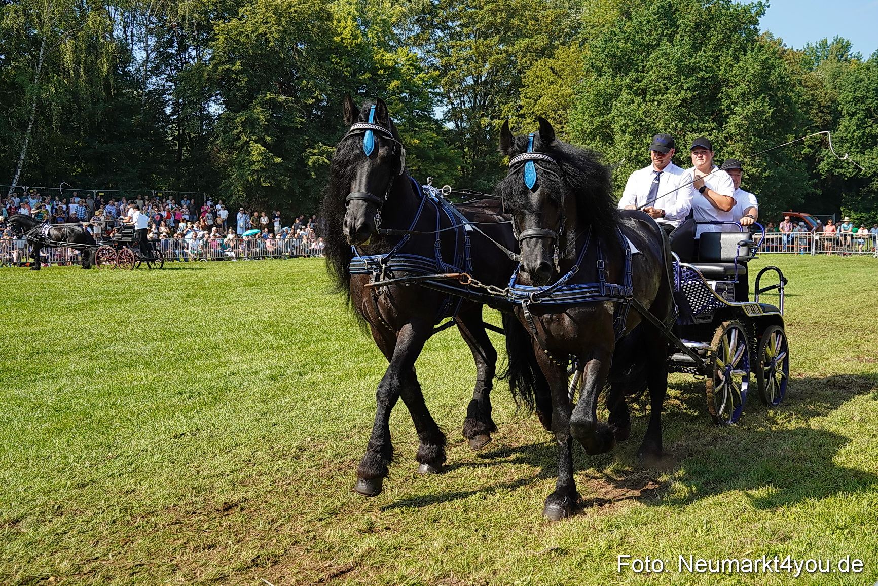 Pferde und Fohlenschau JURA Volksfest 2023 0144