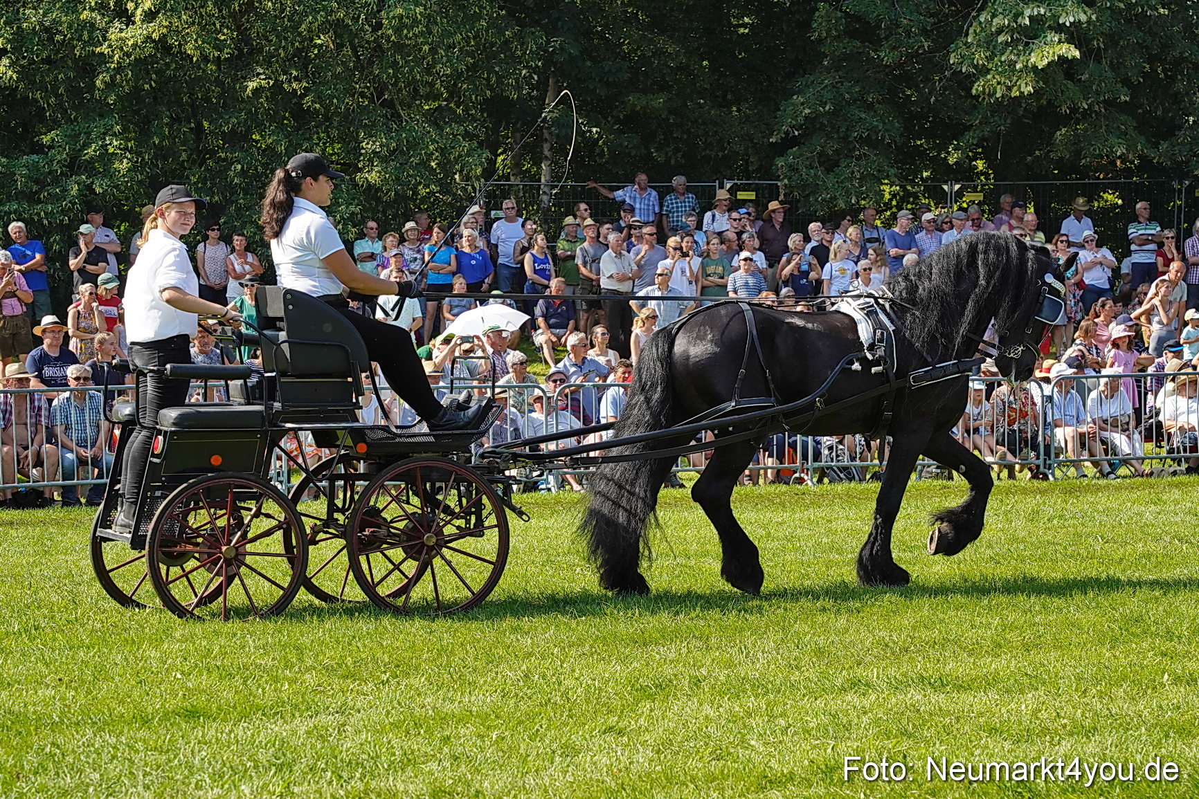 Pferde und Fohlenschau JURA Volksfest 2023 0145