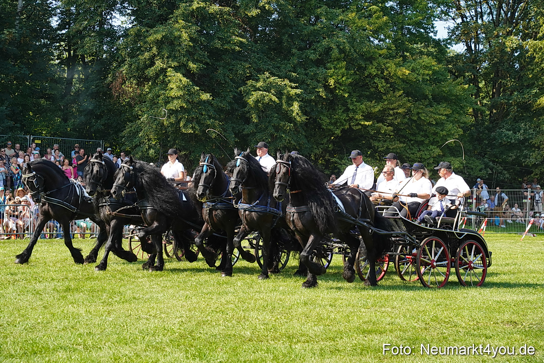Pferde und Fohlenschau JURA Volksfest 2023 0147