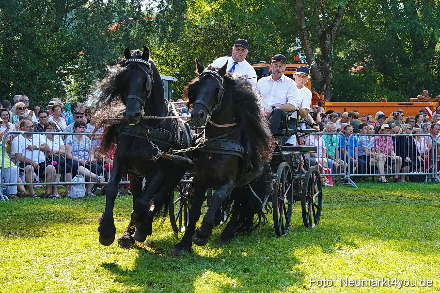 Pferde und Fohlenschau JURA Volksfest 2023 0148