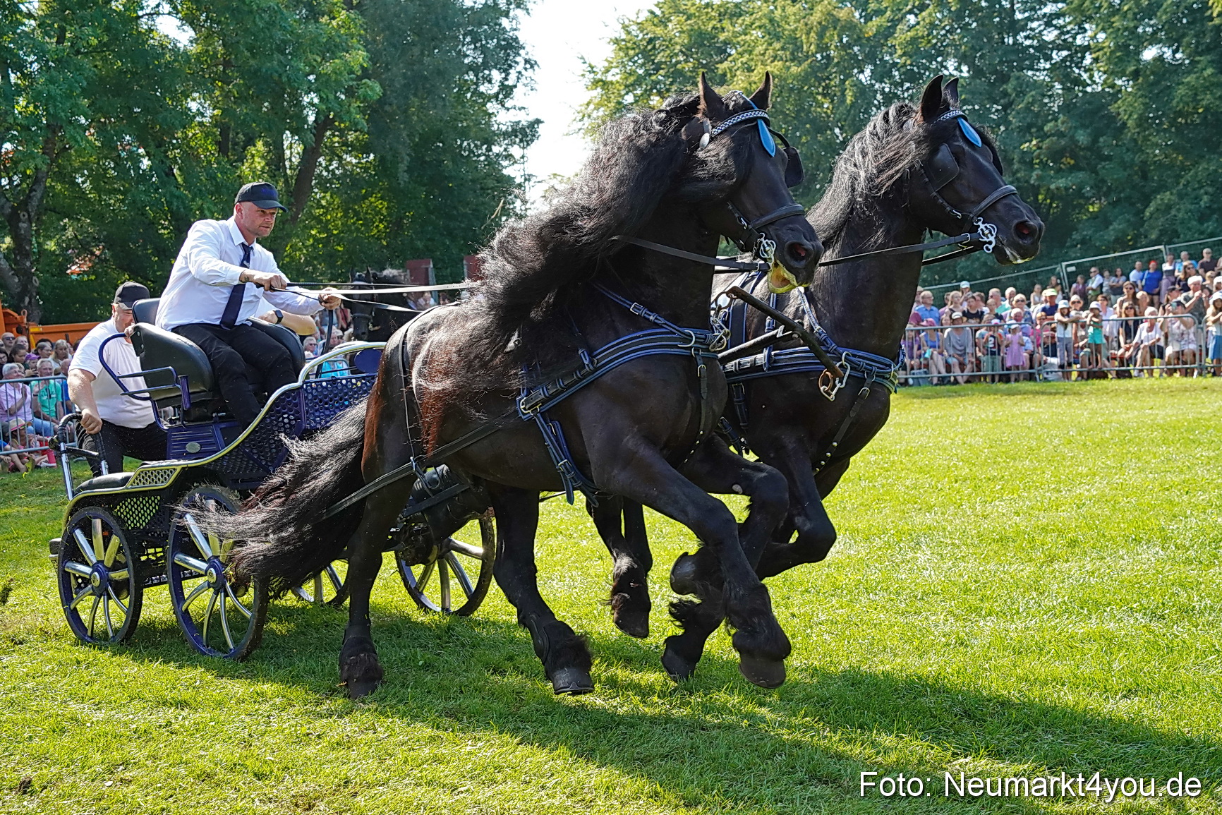 Pferde und Fohlenschau JURA Volksfest 2023 0149