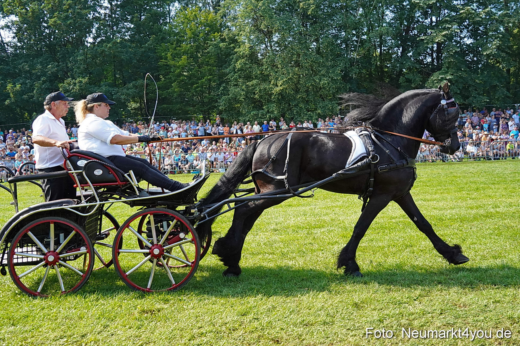 Pferde und Fohlenschau JURA Volksfest 2023 0150