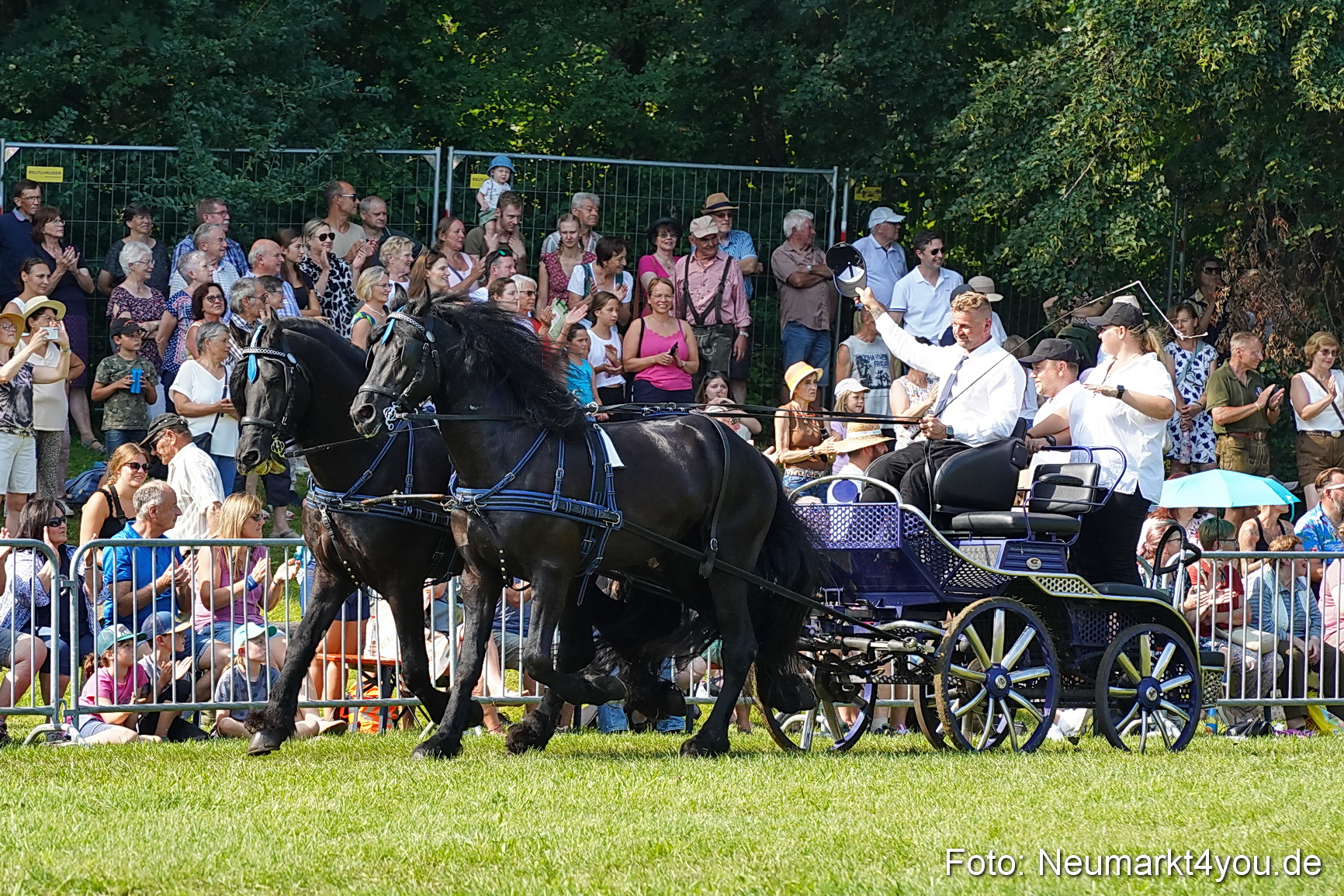 Pferde und Fohlenschau JURA Volksfest 2023 0151
