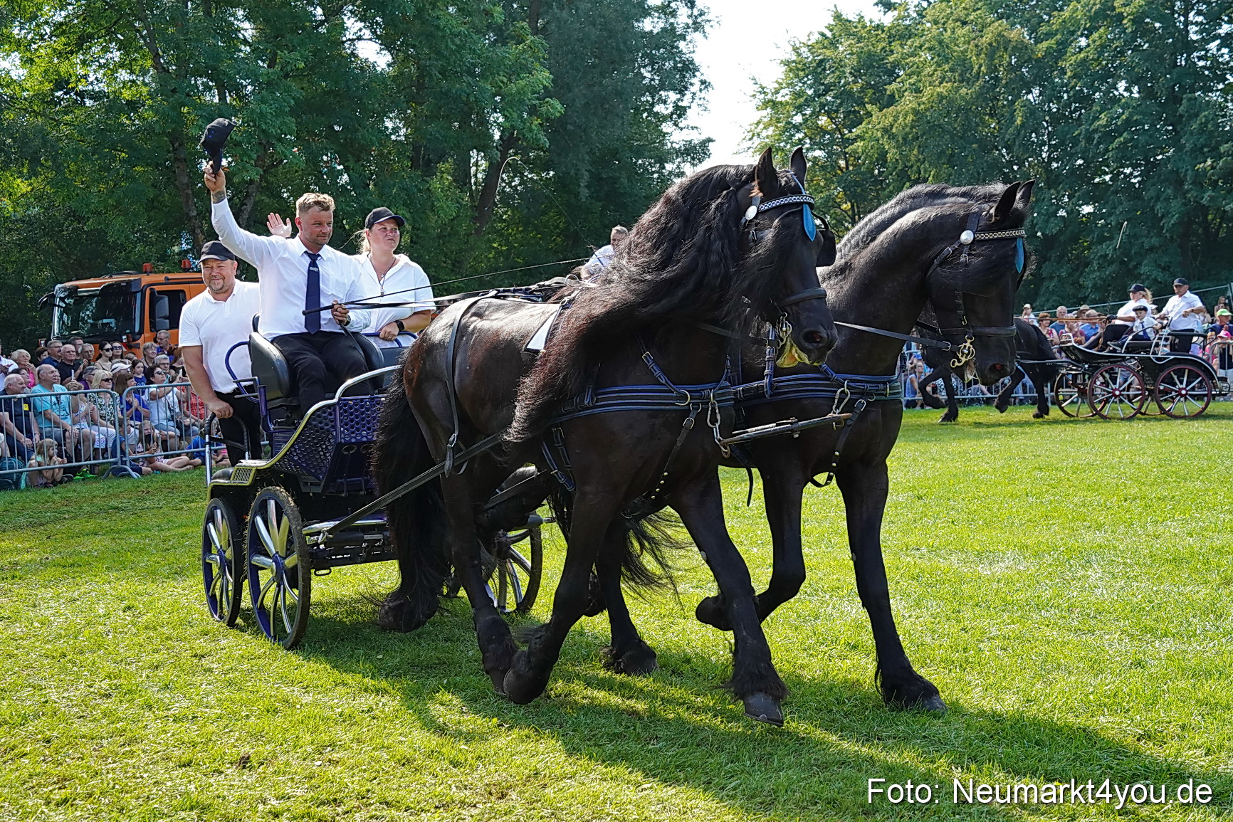 Pferde und Fohlenschau JURA Volksfest 2023 0152