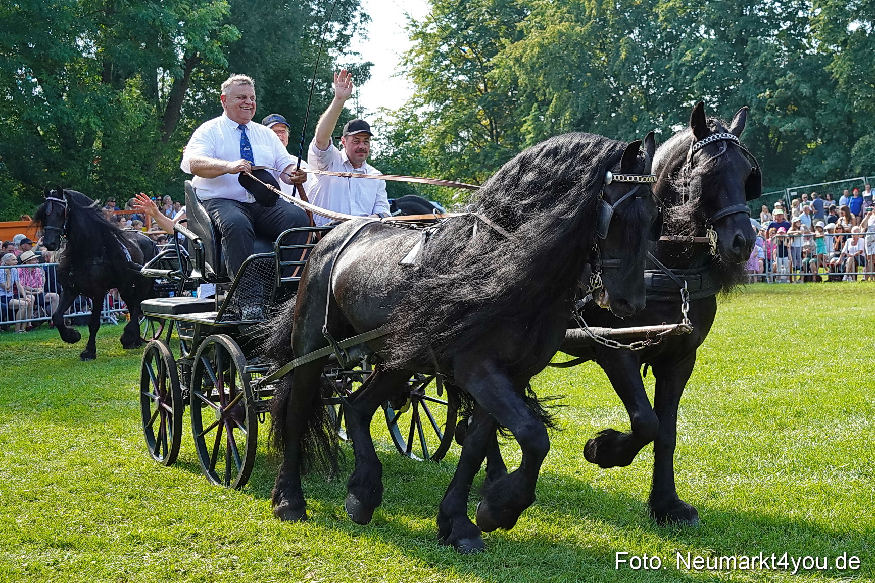 Pferde und Fohlenschau JURA Volksfest 2023 0153
