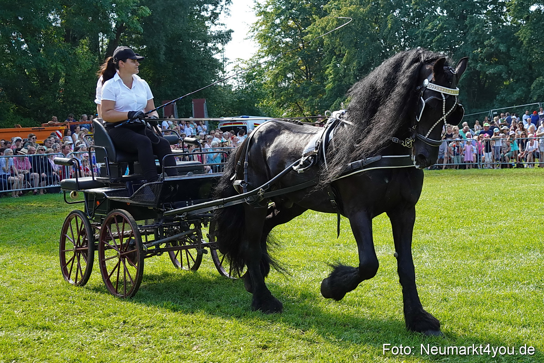 Pferde und Fohlenschau JURA Volksfest 2023 0154