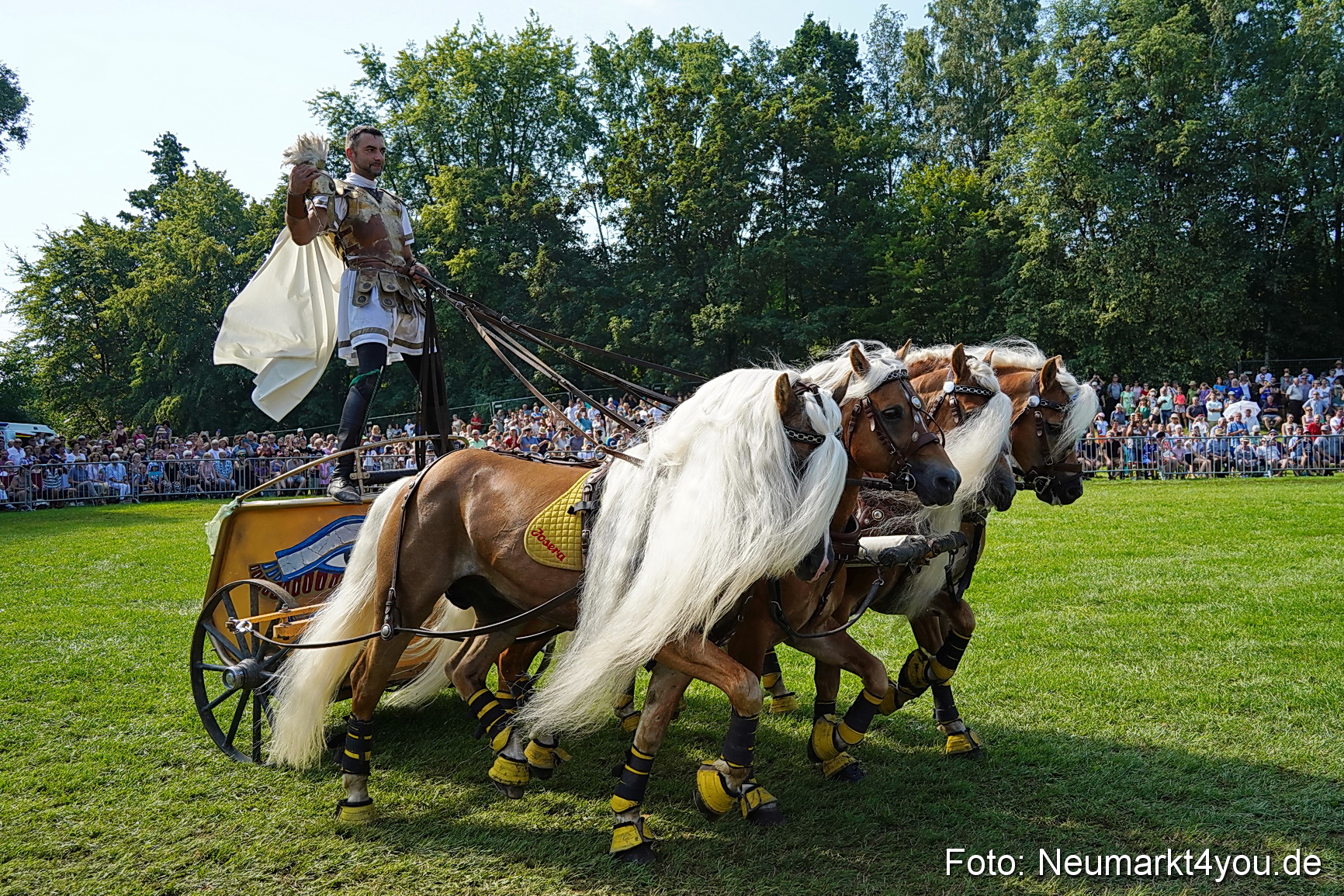 Pferde und Fohlenschau JURA Volksfest 2023 0157