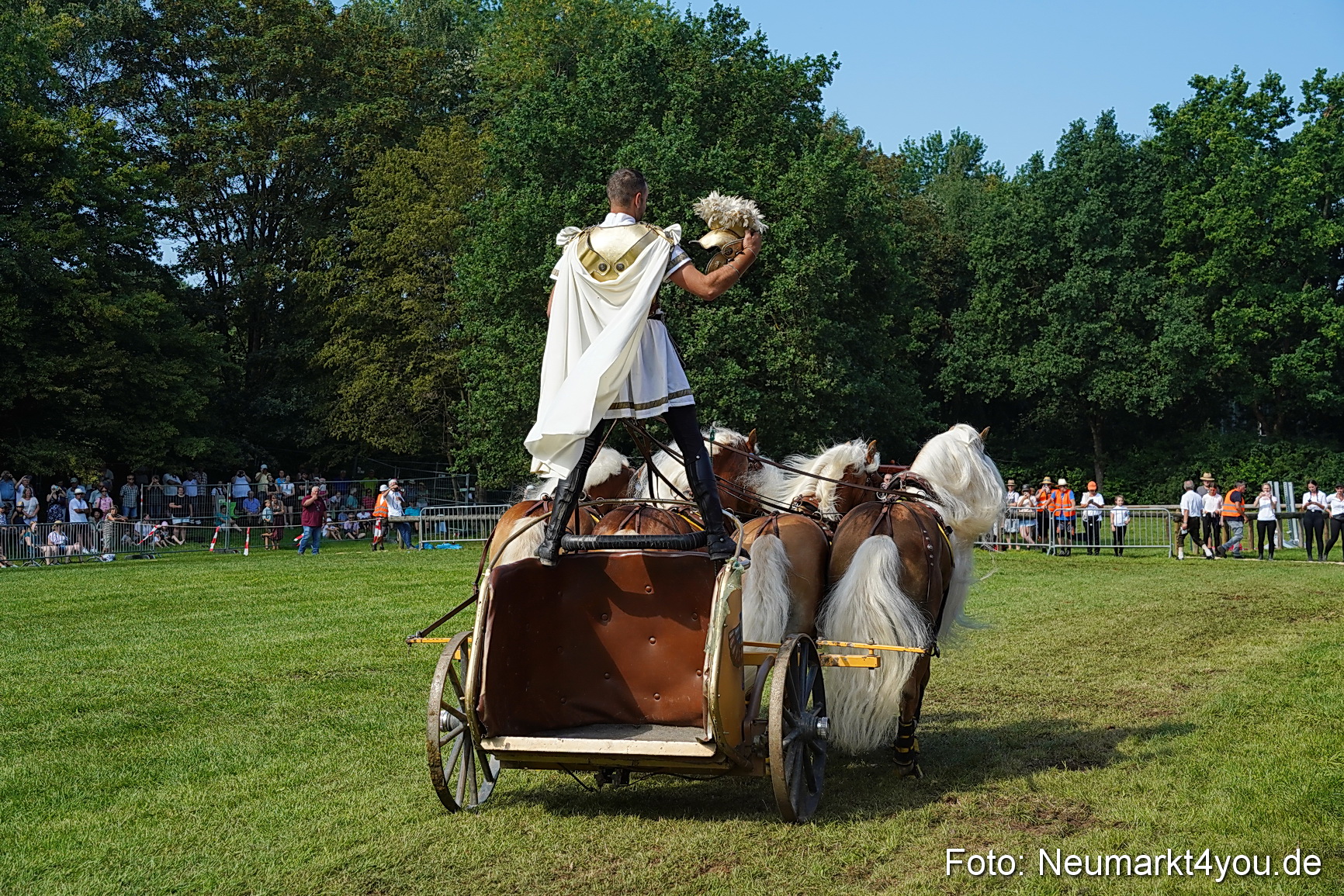 Pferde und Fohlenschau JURA Volksfest 2023 0158