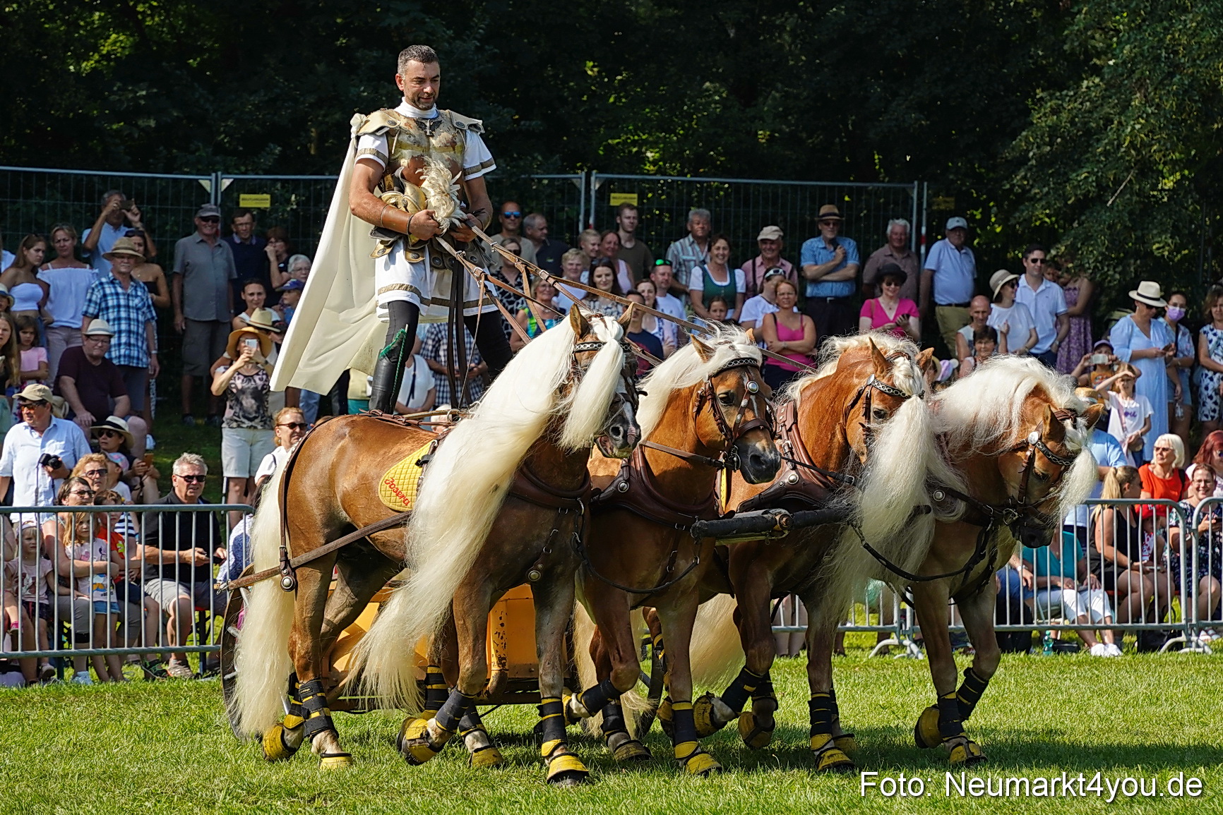 Pferde und Fohlenschau JURA Volksfest 2023 0159
