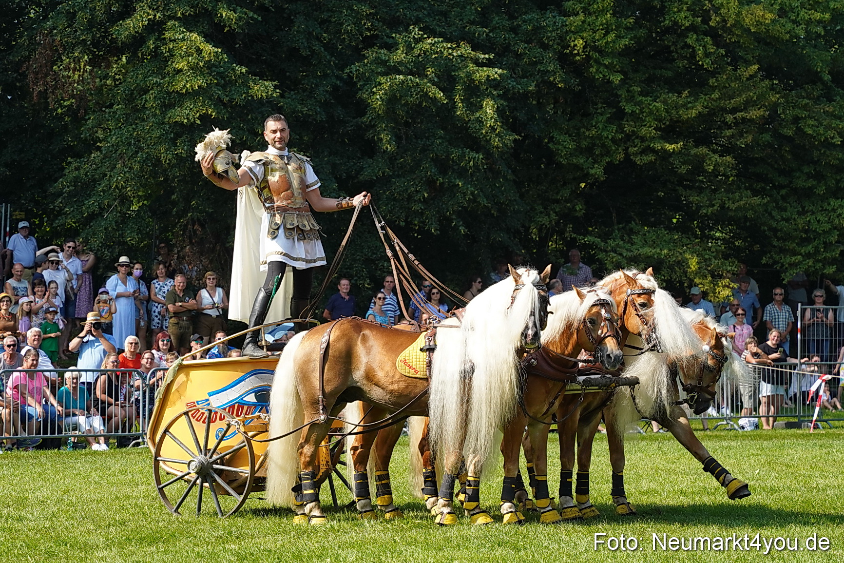 Pferde und Fohlenschau JURA Volksfest 2023 0160