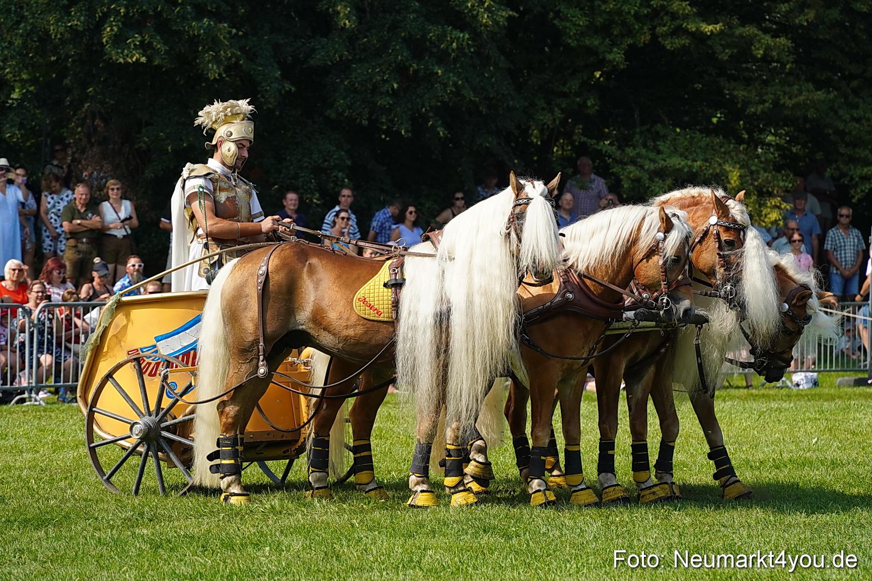 Pferde und Fohlenschau JURA Volksfest 2023 0161