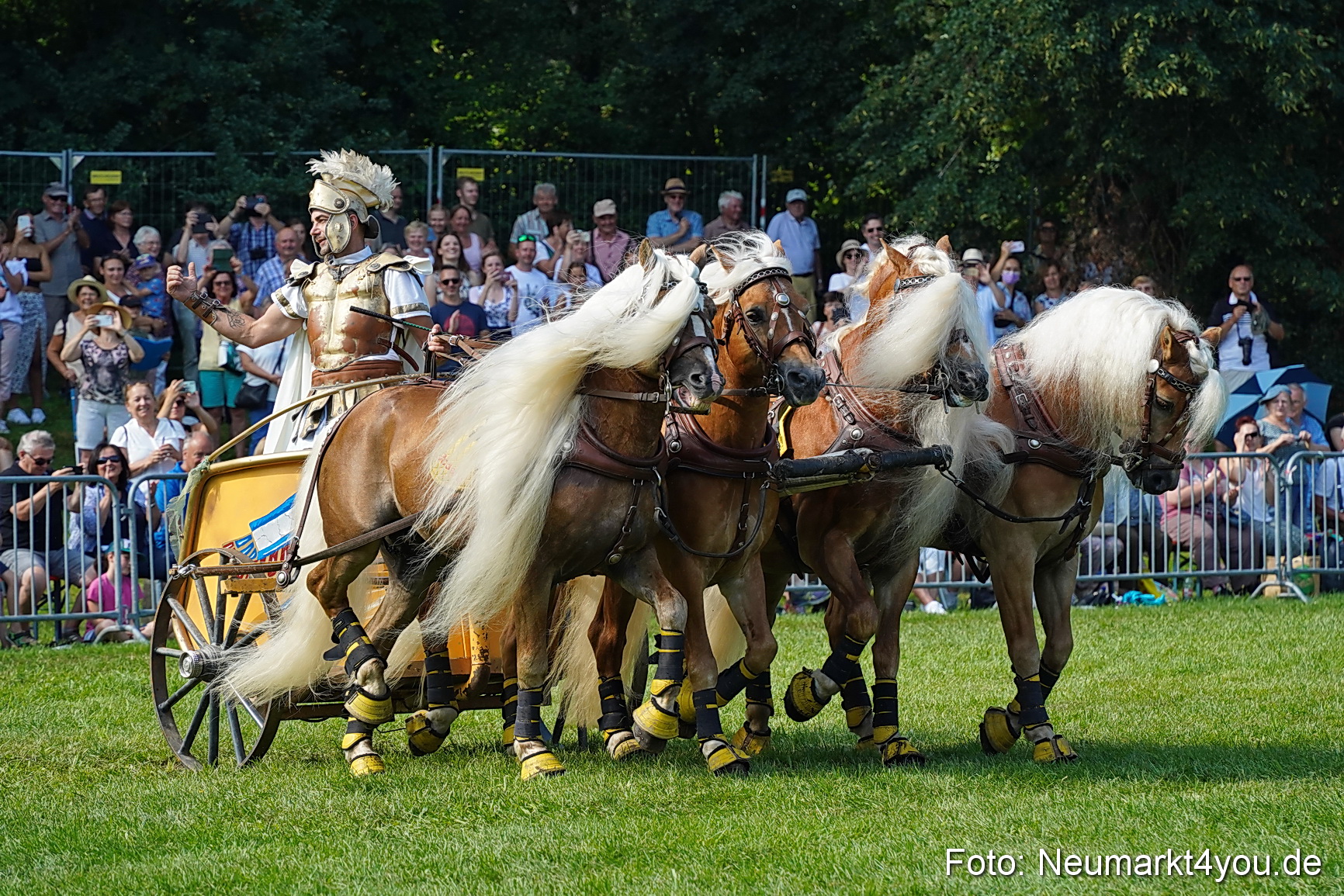 Pferde und Fohlenschau JURA Volksfest 2023 0162