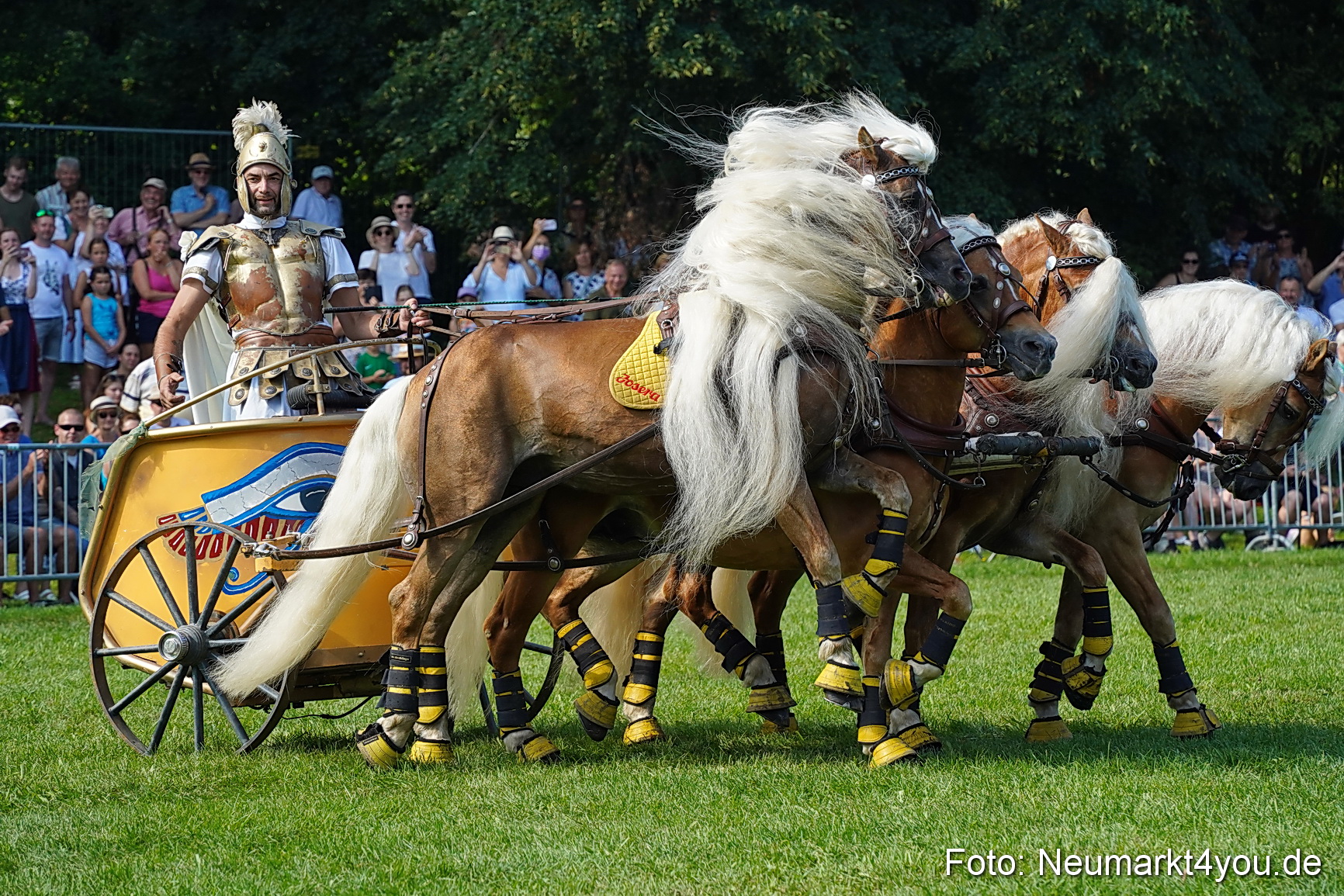 Pferde und Fohlenschau JURA Volksfest 2023 0163