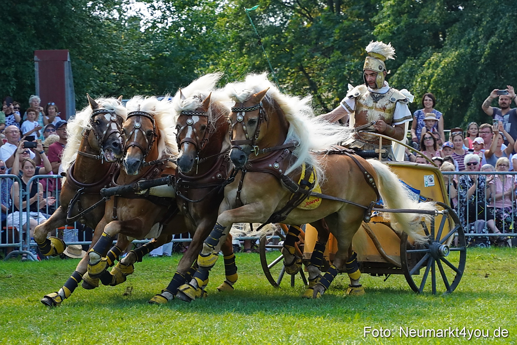 Pferde und Fohlenschau JURA Volksfest 2023 0167