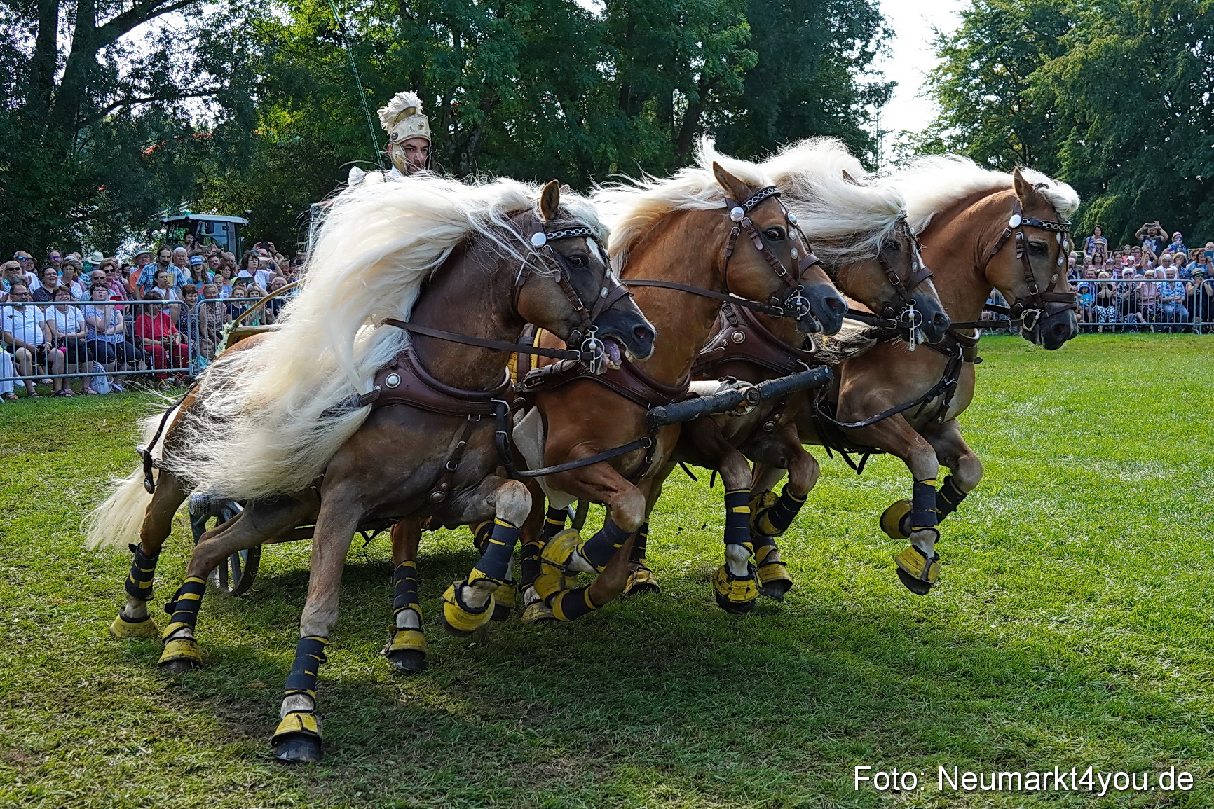 Pferde und Fohlenschau JURA Volksfest 2023 0168