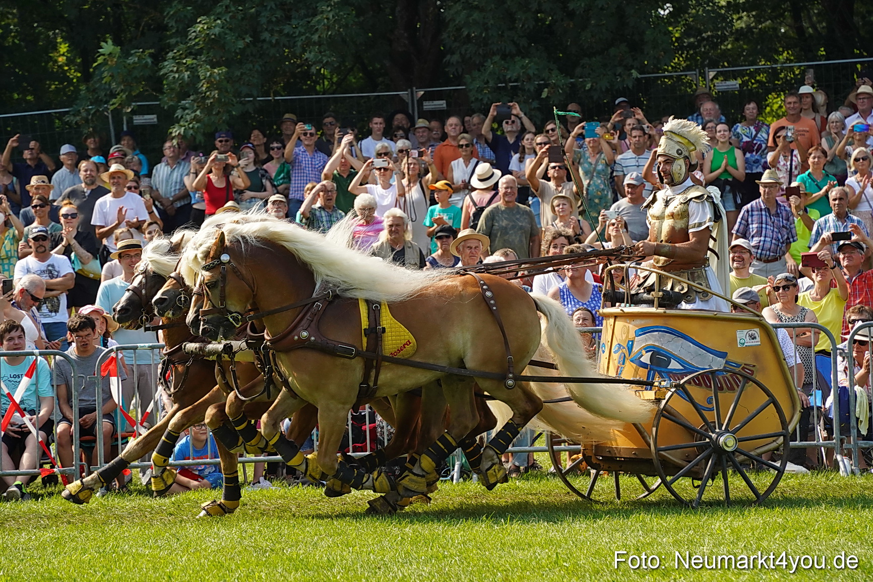 Pferde und Fohlenschau JURA Volksfest 2023 0169