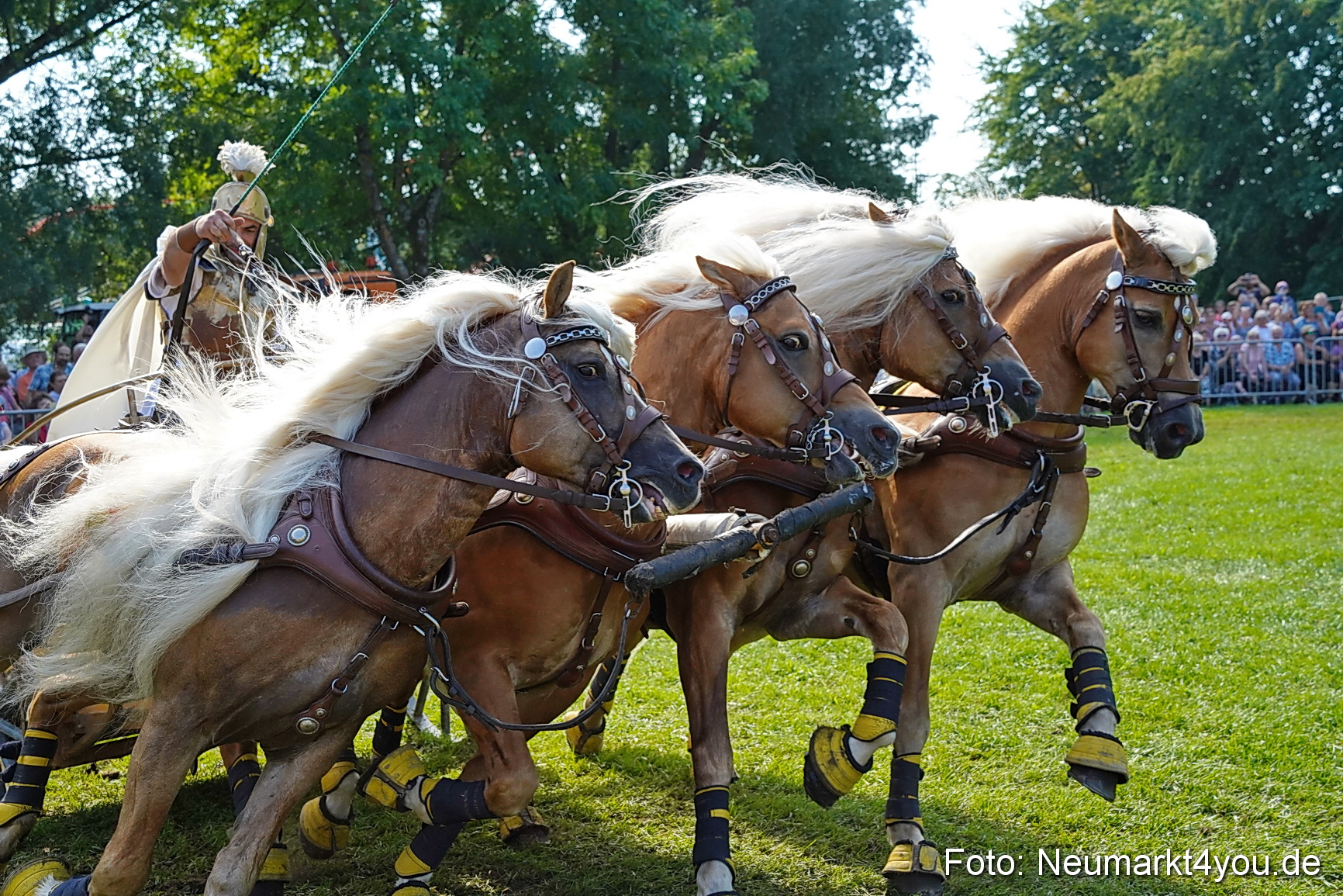 Pferde und Fohlenschau JURA Volksfest 2023 0170