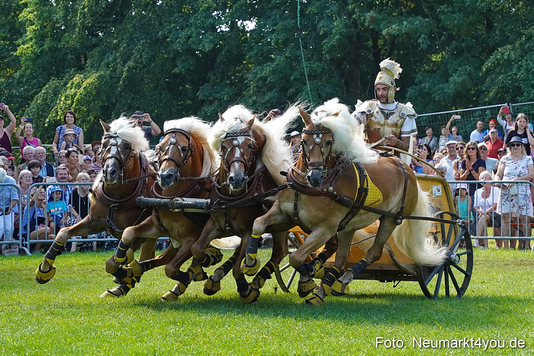 Pferde und Fohlenschau JURA Volksfest 2023 0171