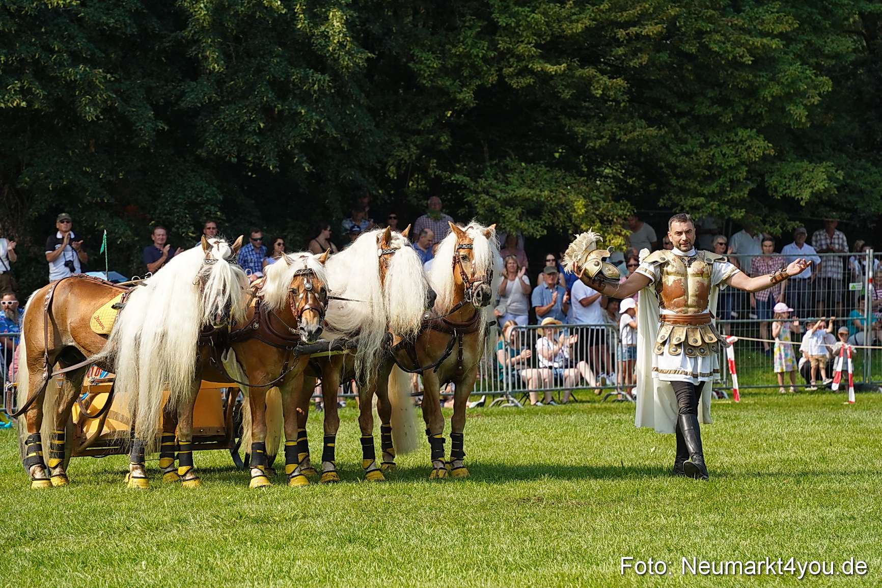 Pferde und Fohlenschau JURA Volksfest 2023 0172