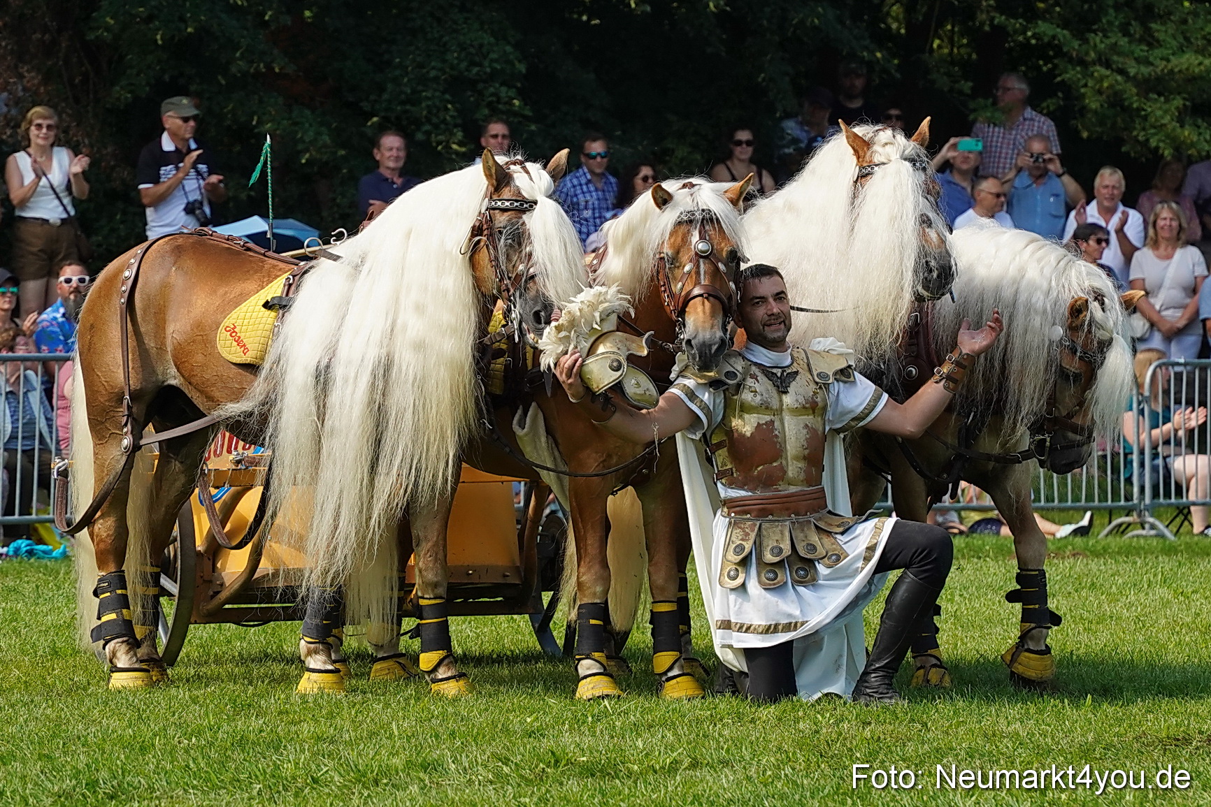 Pferde und Fohlenschau JURA Volksfest 2023 0173