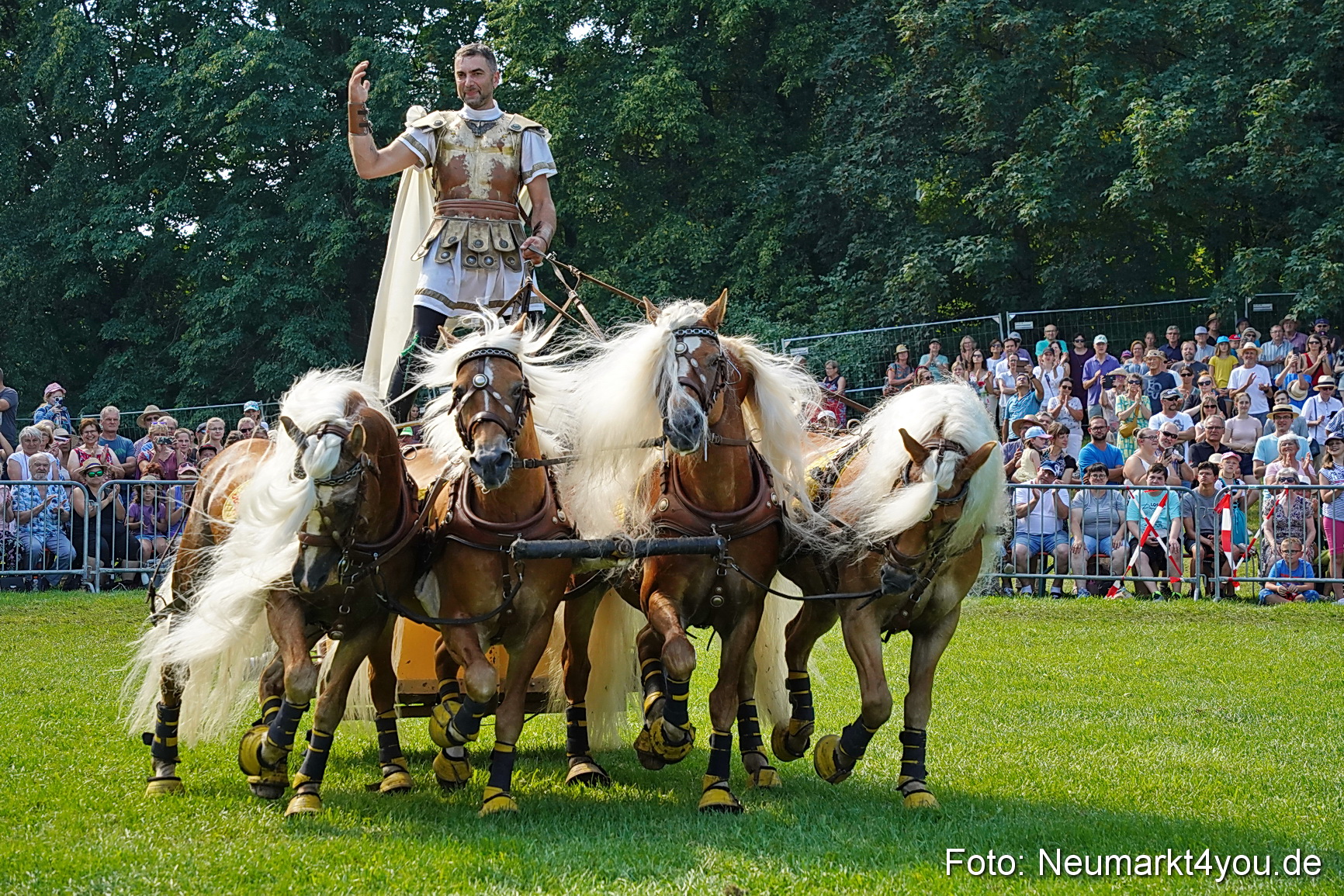 Pferde und Fohlenschau JURA Volksfest 2023 0176