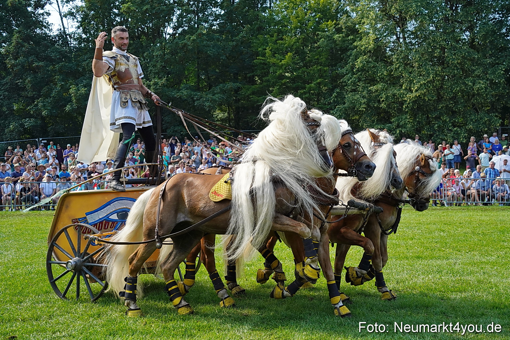 Pferde und Fohlenschau JURA Volksfest 2023 0177