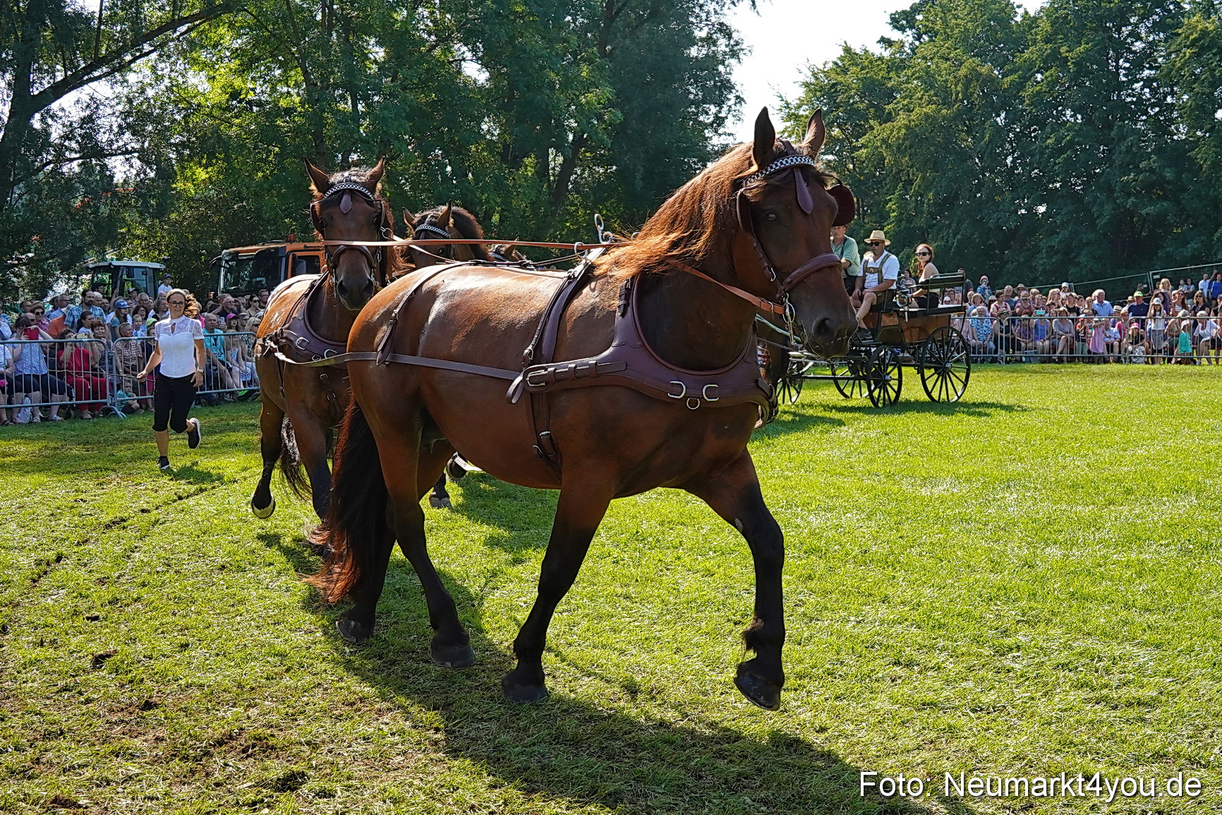 Pferde und Fohlenschau JURA Volksfest 2023 0178
