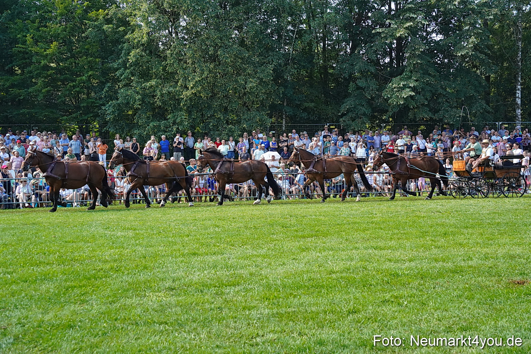Pferde und Fohlenschau JURA Volksfest 2023 0179