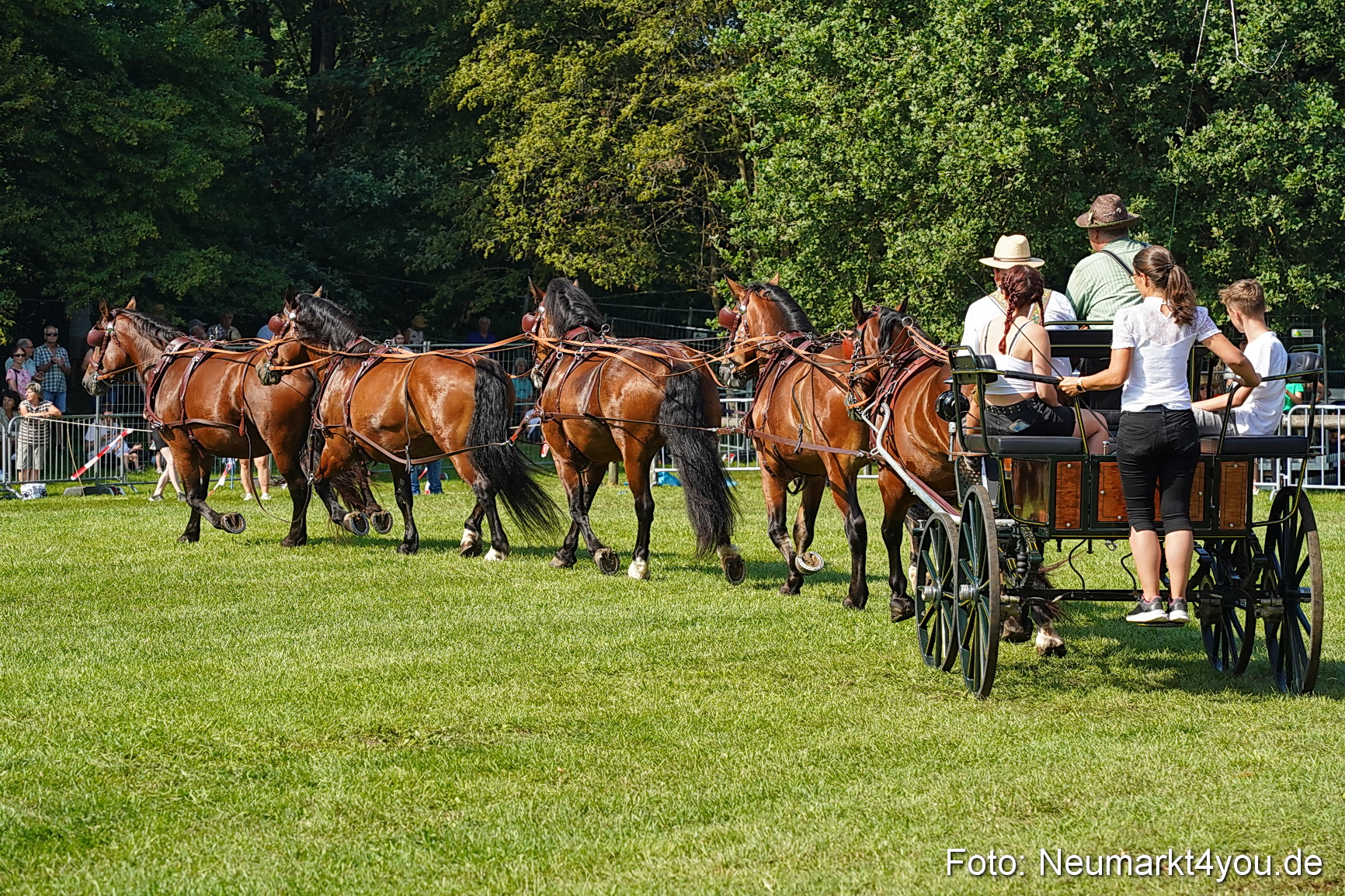 Pferde und Fohlenschau JURA Volksfest 2023 0182