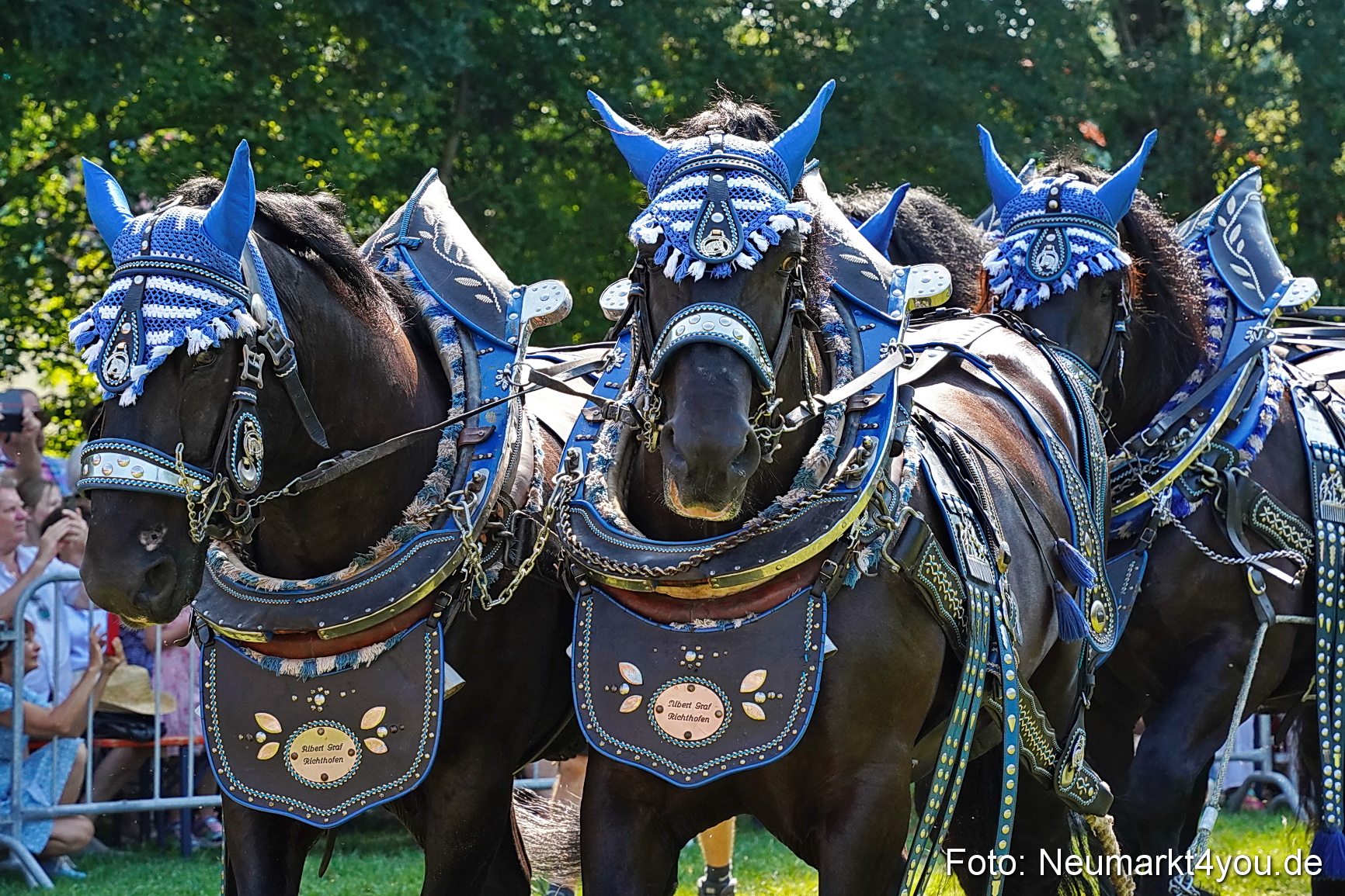 Pferde und Fohlenschau JURA Volksfest 2023 0192
