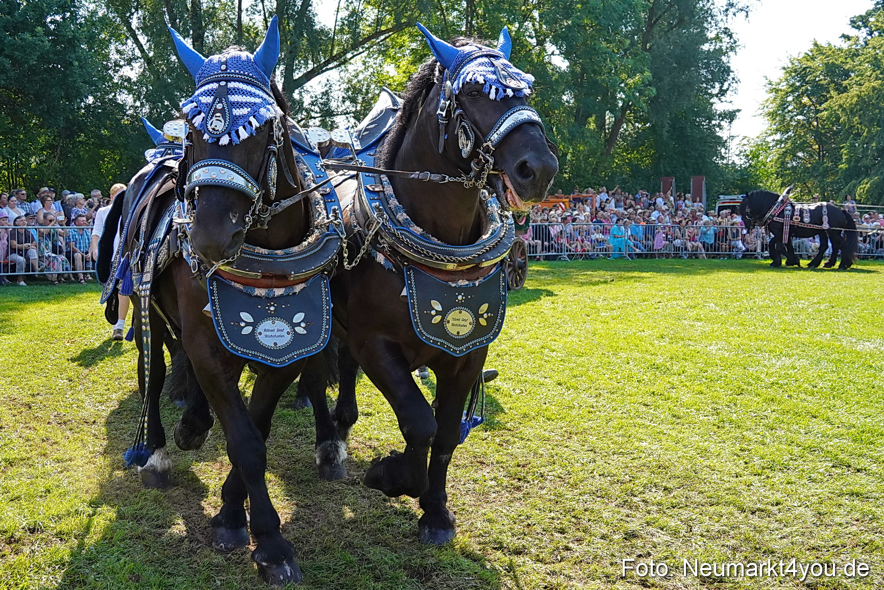 Pferde und Fohlenschau JURA Volksfest 2023 0193