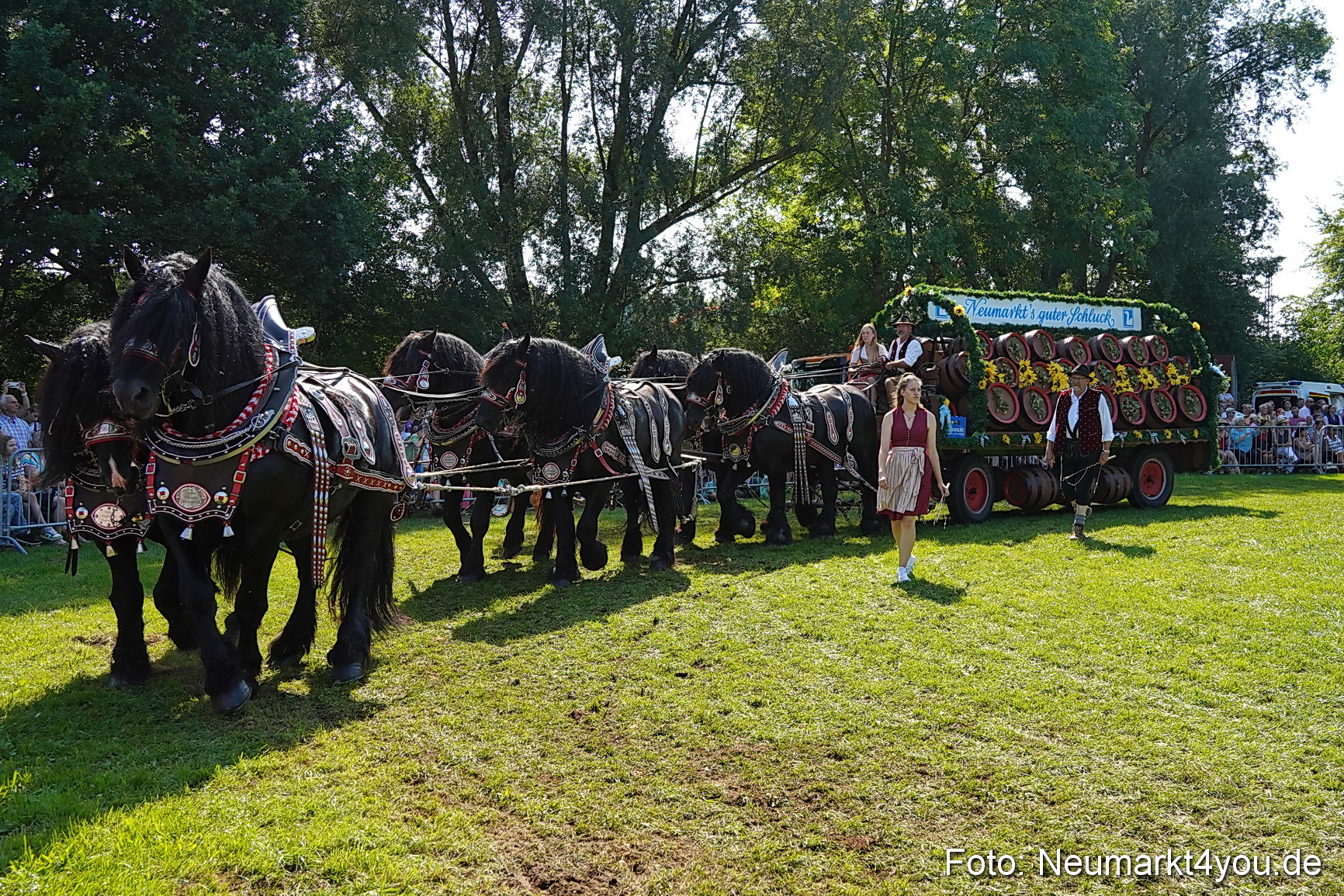 Pferde und Fohlenschau JURA Volksfest 2023 0198