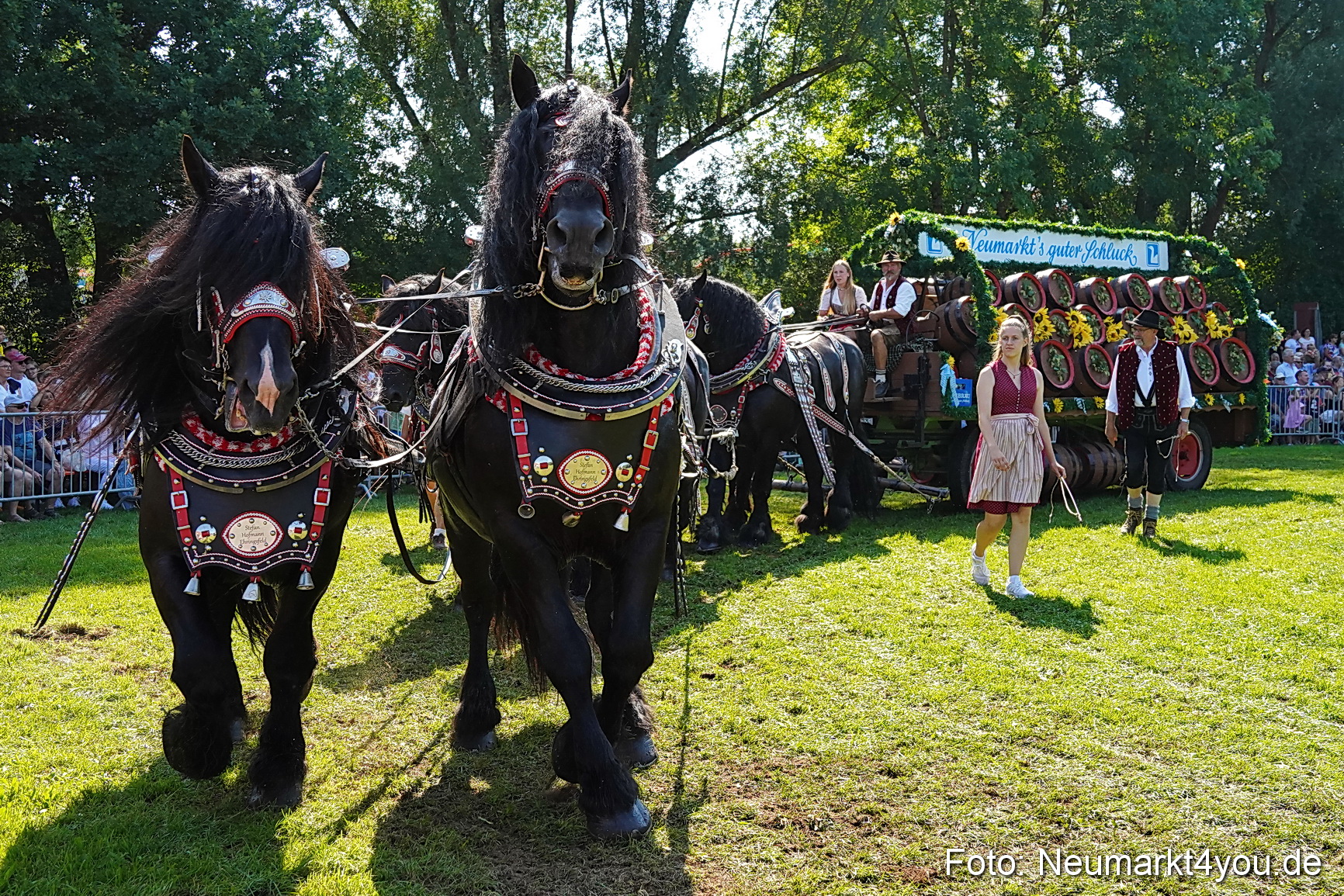 Pferde und Fohlenschau JURA Volksfest 2023 0199